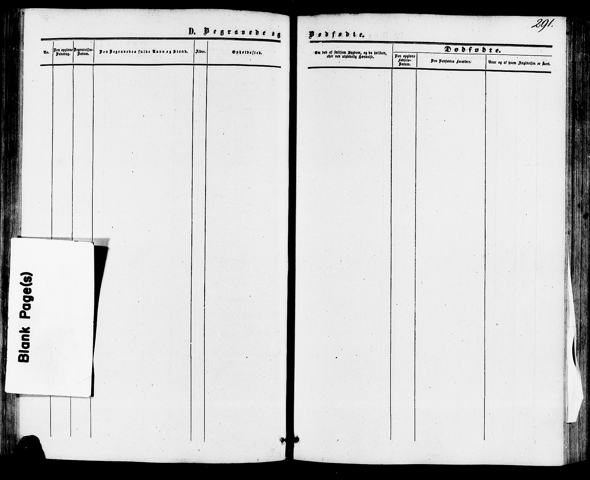 Skien kirkebøker, AV/SAKO-A-302/F/Fa/L0007: Ministerialbok nr. 7, 1856-1865, s. 291