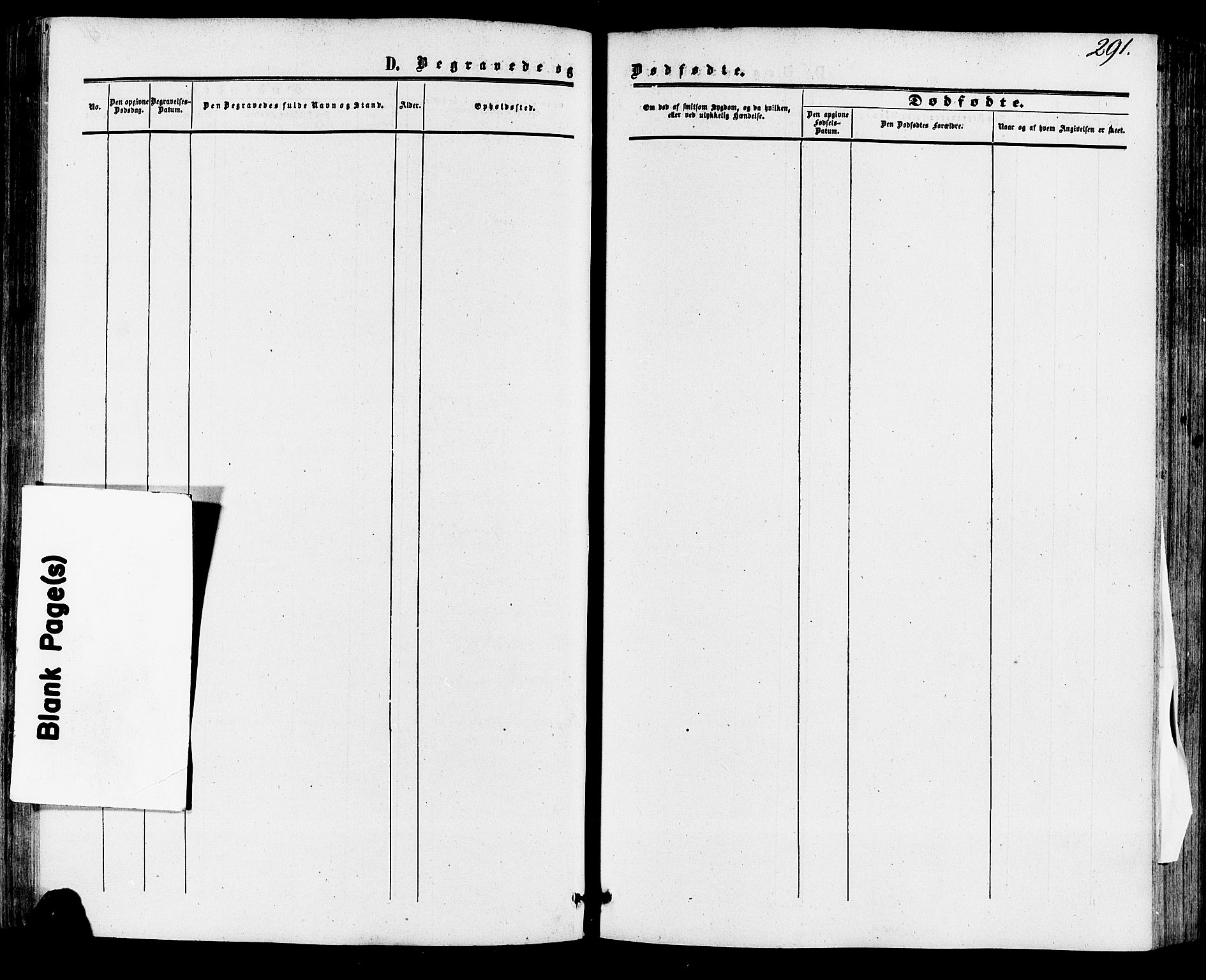 Skien kirkebøker, SAKO/A-302/F/Fa/L0007: Ministerialbok nr. 7, 1856-1865, s. 291