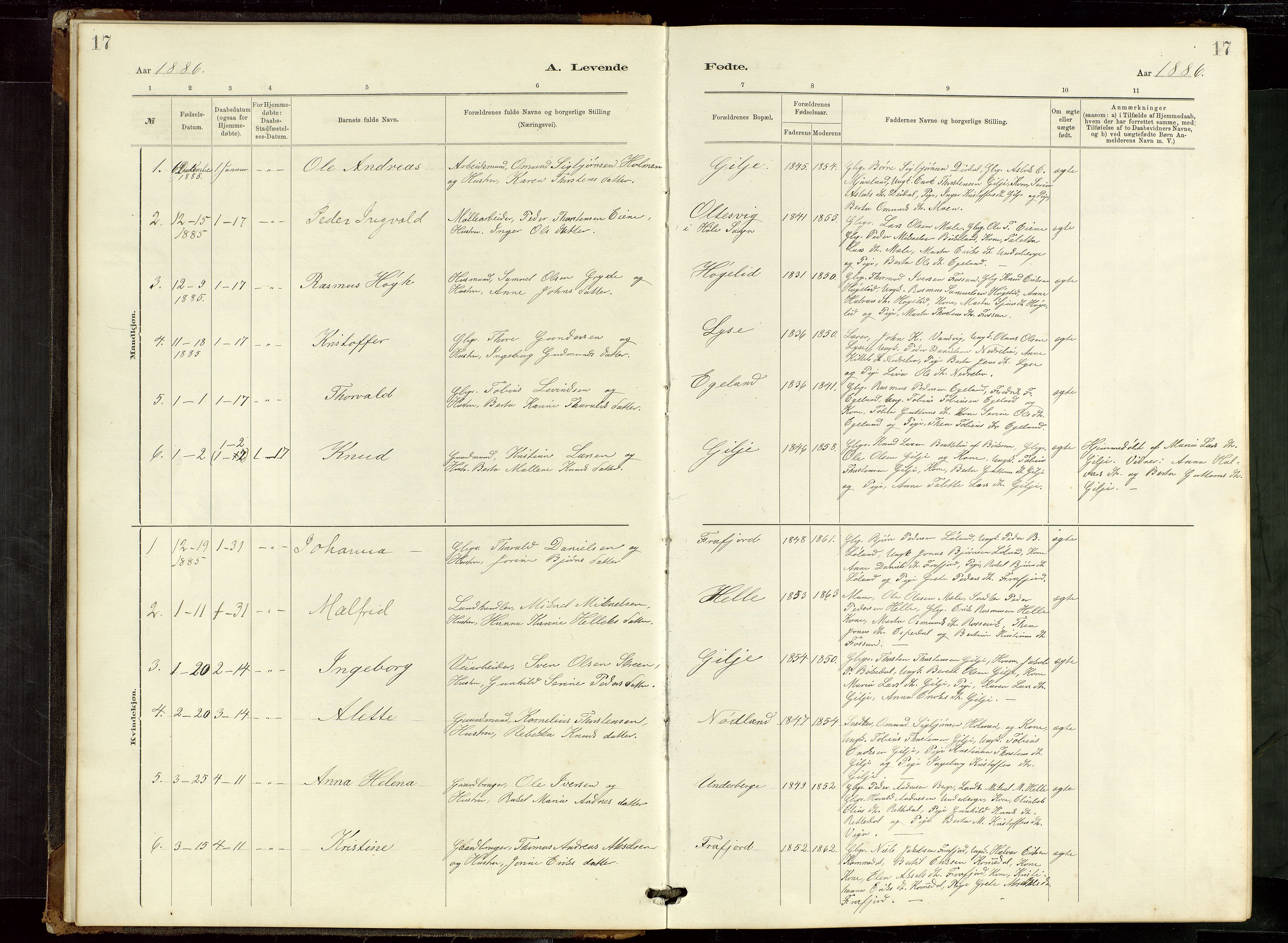 Høgsfjord sokneprestkontor, SAST/A-101624/H/Ha/Hab/L0009: Klokkerbok nr. B 9, 1883-1920, s. 17