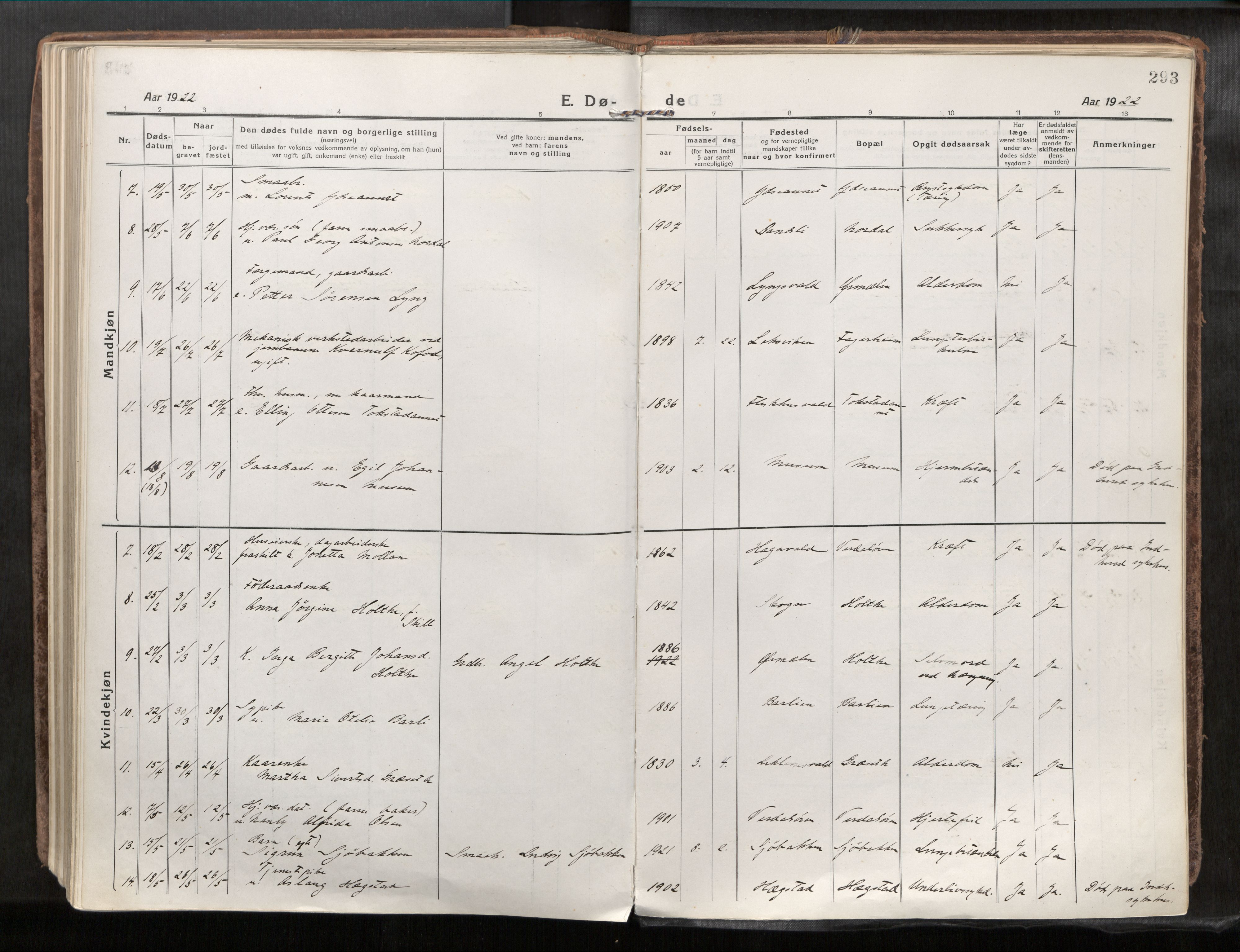 Verdal sokneprestkontor, AV/SAT-A-1156/2/H/Haa/L0001: Ministerialbok nr. 1, 1917-1932, s. 293