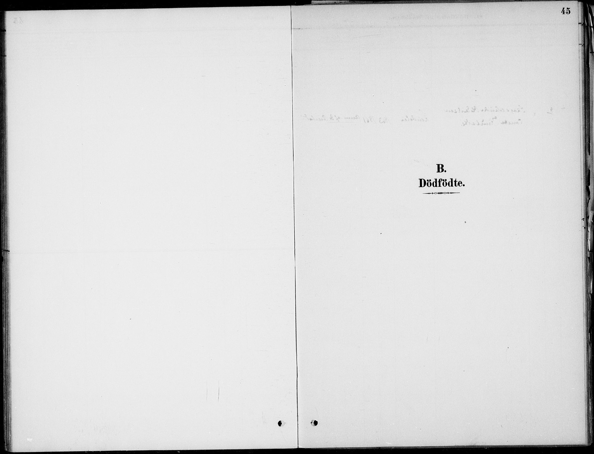 Ådal kirkebøker, AV/SAKO-A-248/F/Fa/L0004: Ministerialbok nr. I 4, 1884-1904, s. 45