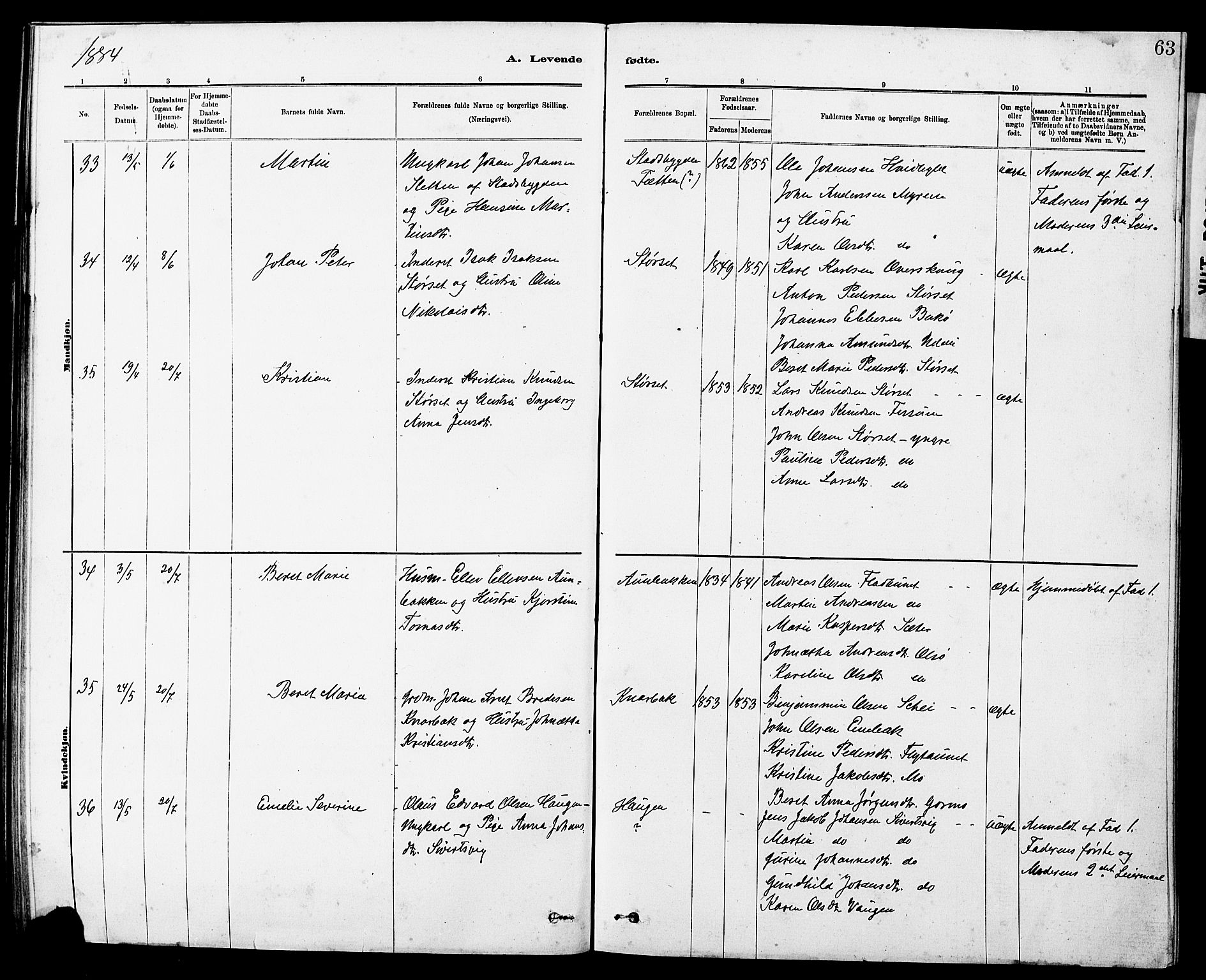 Ministerialprotokoller, klokkerbøker og fødselsregistre - Sør-Trøndelag, AV/SAT-A-1456/647/L0636: Klokkerbok nr. 647C01, 1881-1884, s. 63