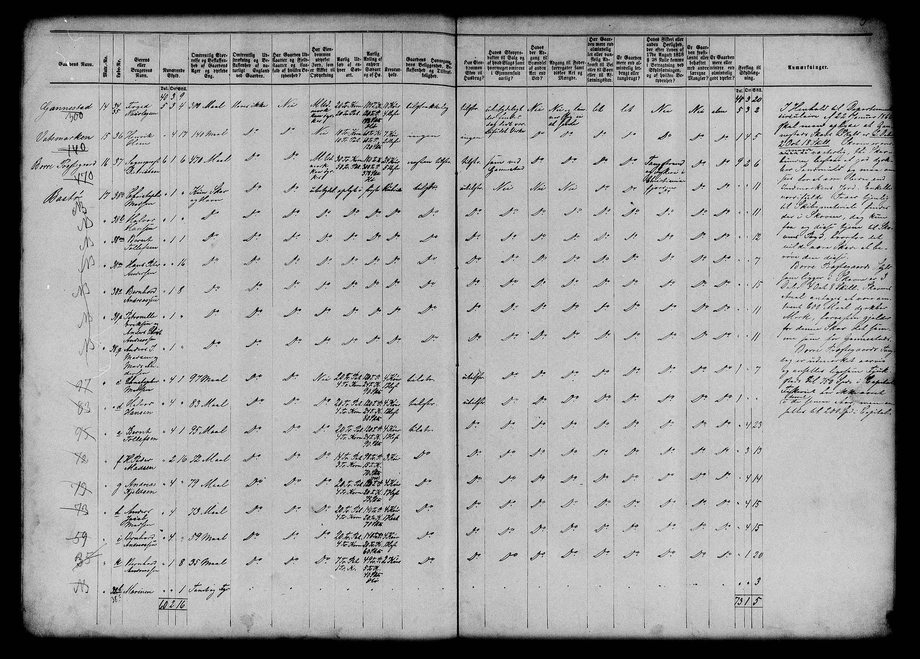 Matrikkelrevisjonen av 1863, AV/RA-S-1530/F/Fe/L0113: Borre, 1863