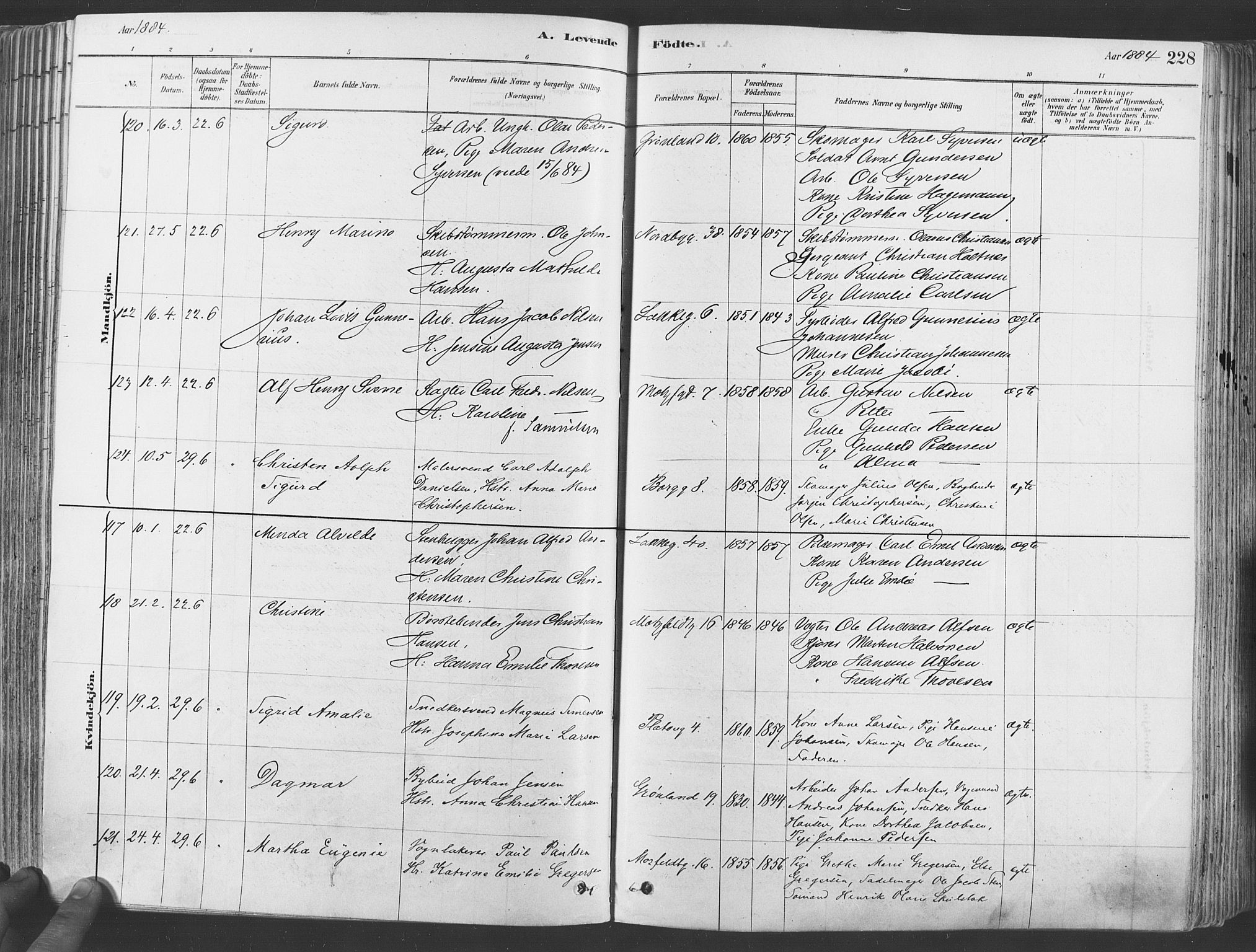 Grønland prestekontor Kirkebøker, SAO/A-10848/F/Fa/L0007: Ministerialbok nr. 7, 1878-1888, s. 228