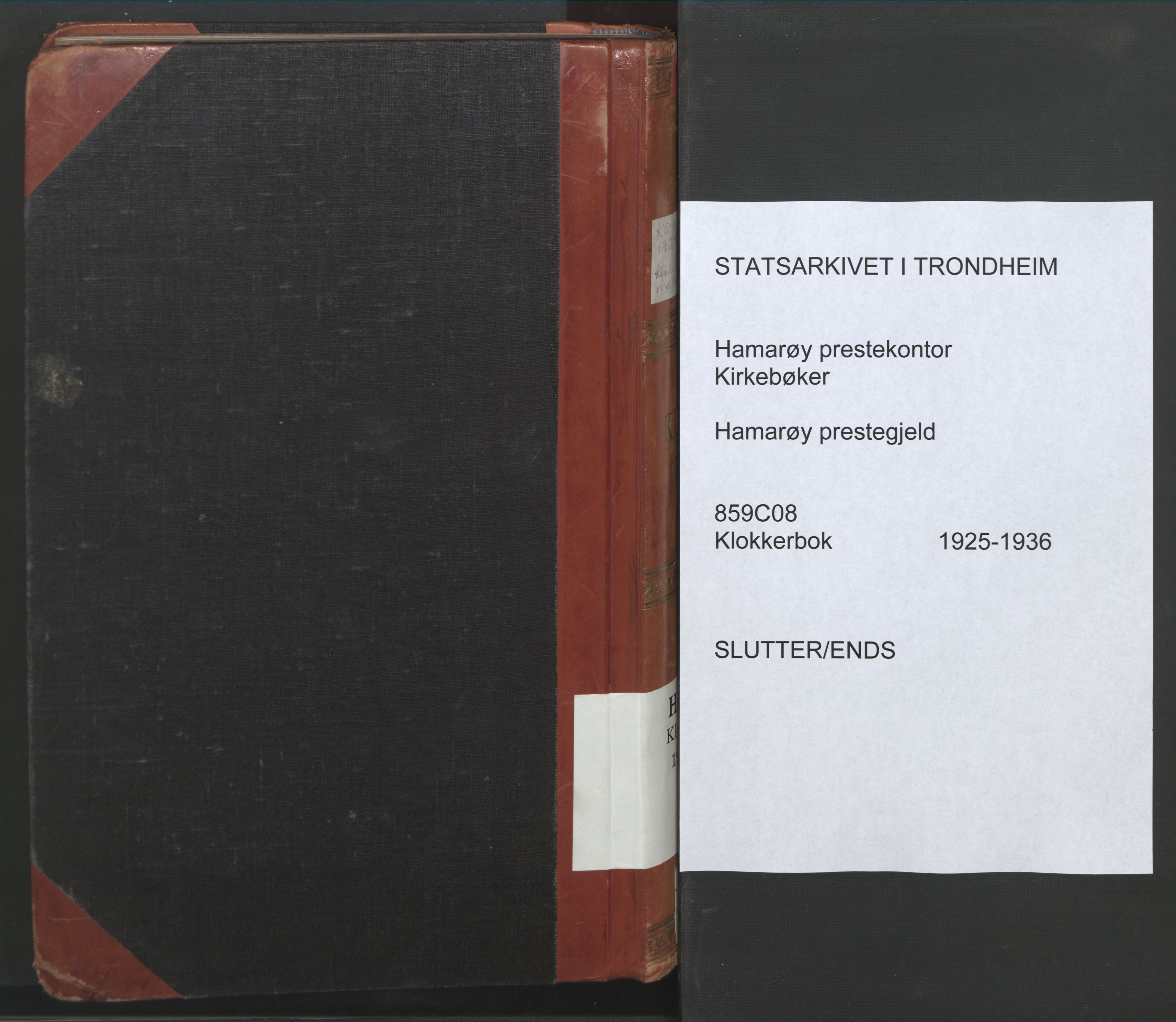 Ministerialprotokoller, klokkerbøker og fødselsregistre - Nordland, AV/SAT-A-1459/859/L0862: Klokkerbok nr. 859C08, 1925-1936