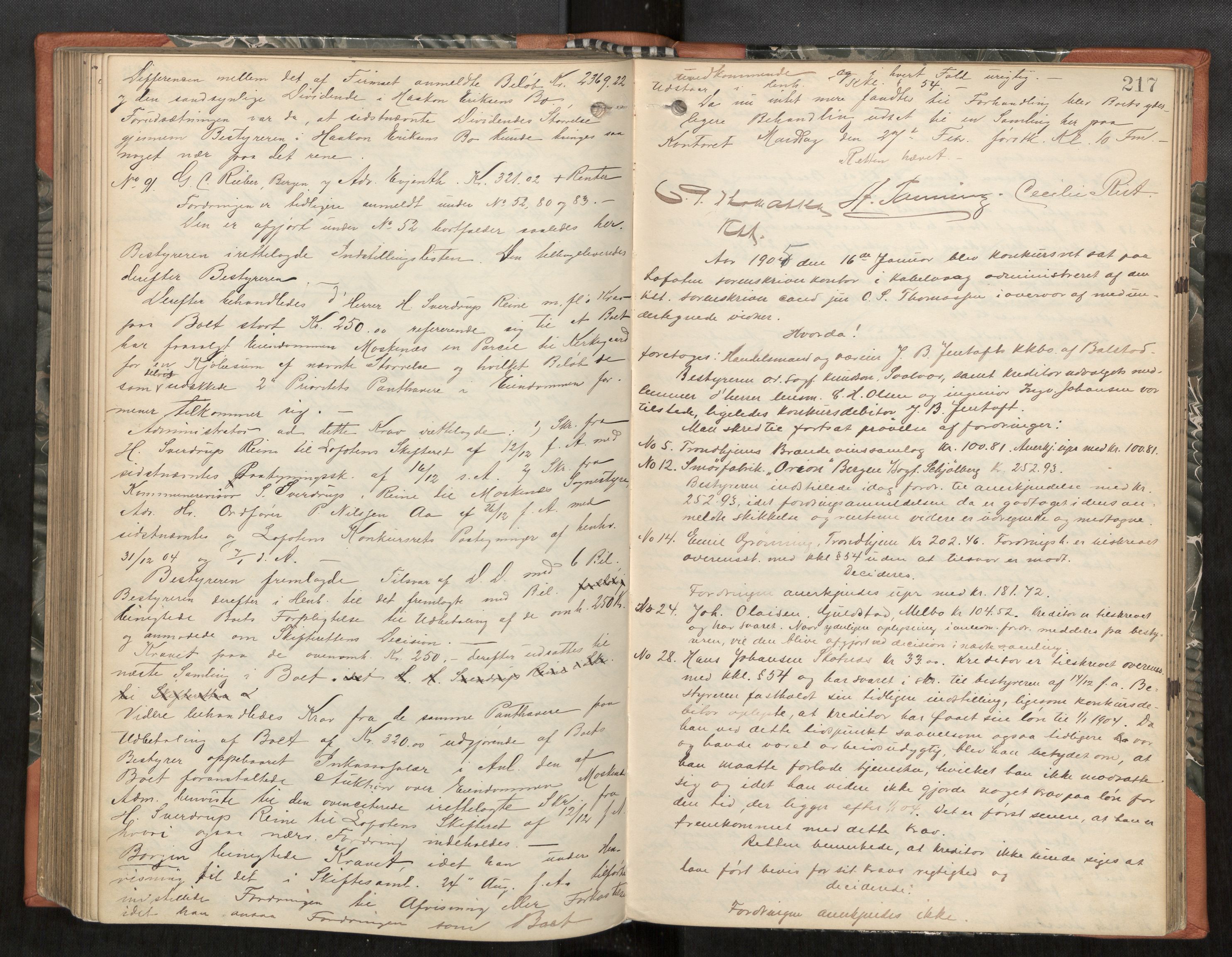 Lofoten sorenskriveri, AV/SAT-A-0017/1/3/3B/L0005: Skifteforhandlings-protokoll, 1901-1905, s. 217