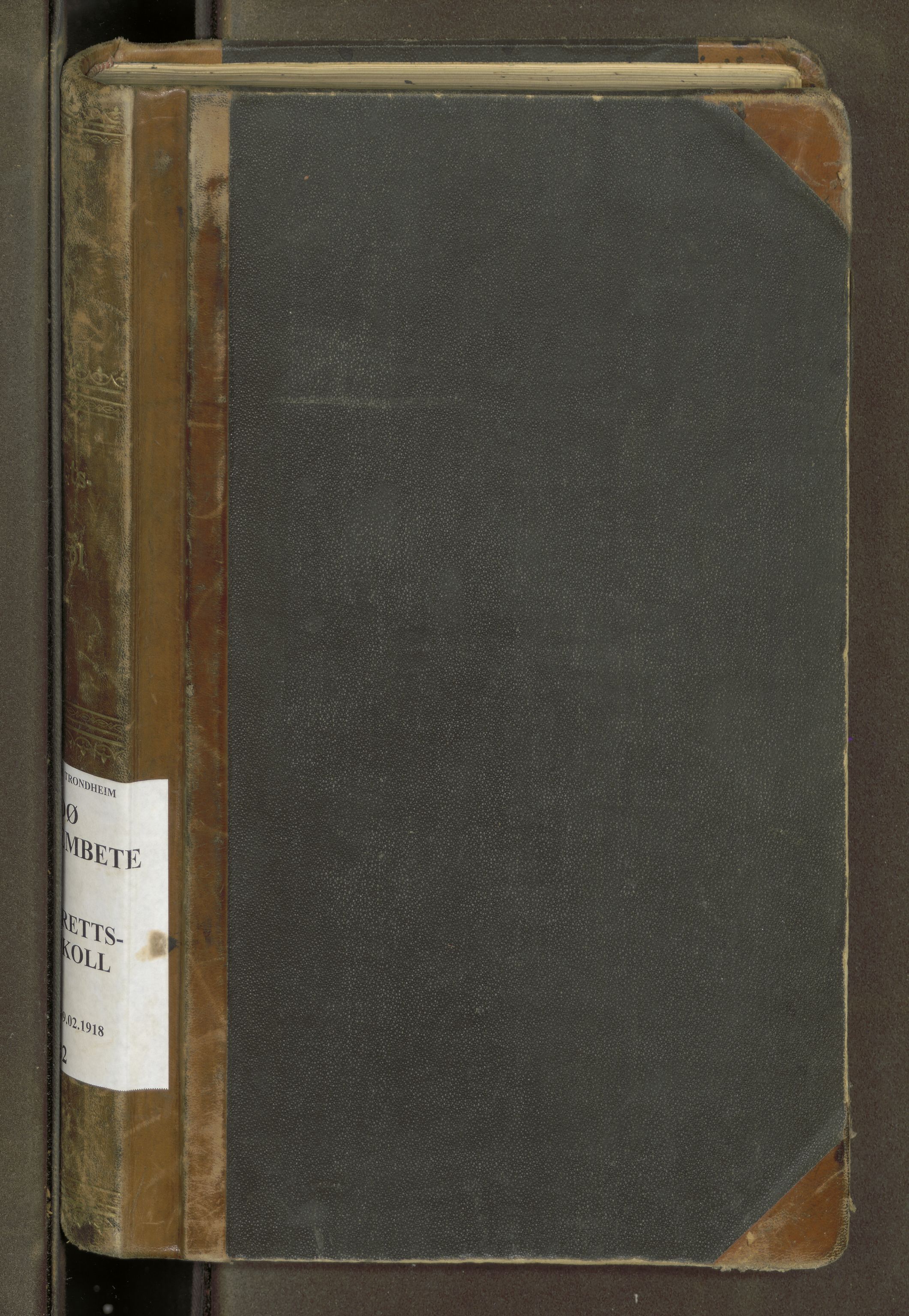 Bodø byfogd, AV/SAT-A-4588/1/1/1B/L0002: Ekstrarettsprotokoll, 1908-1918