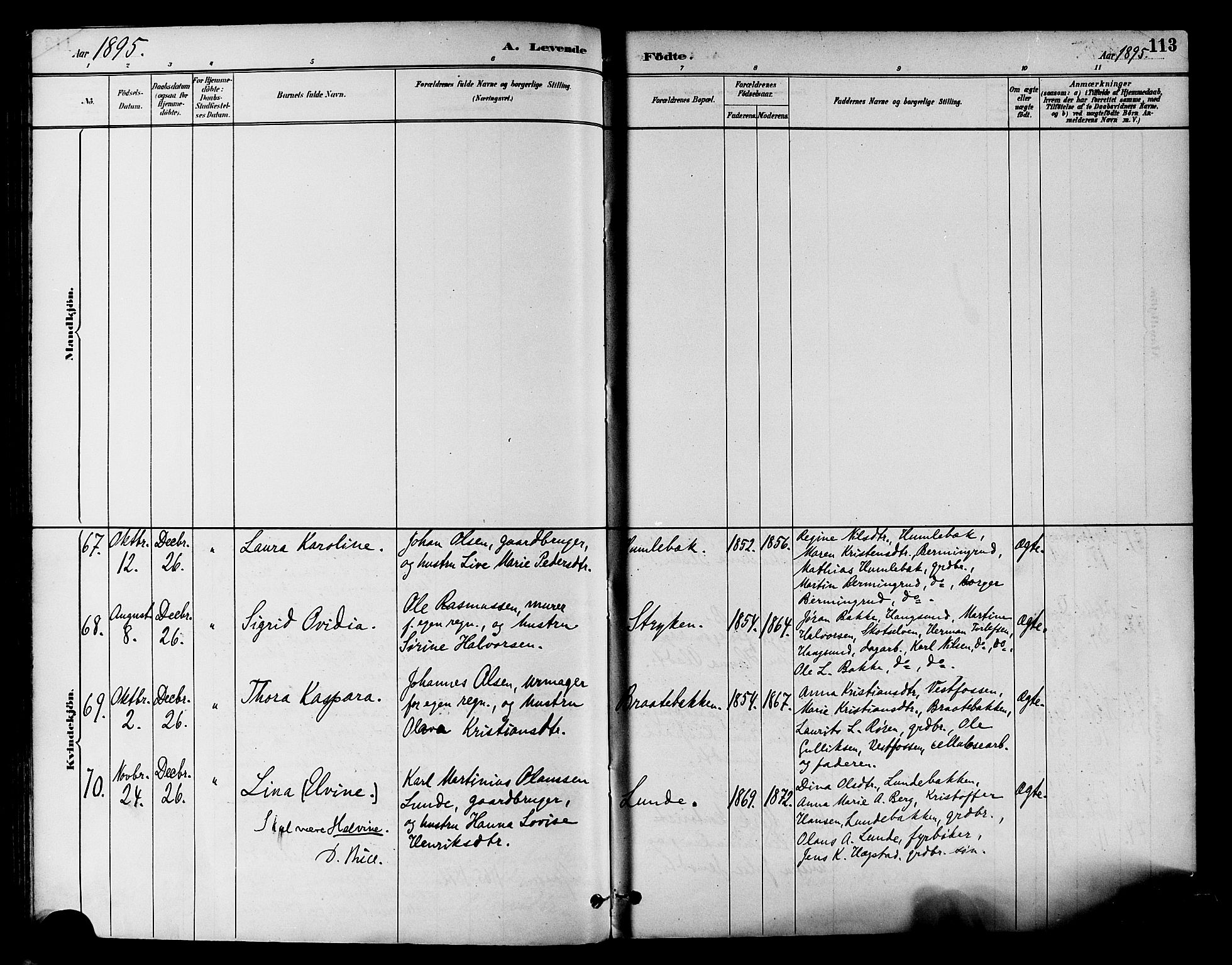 Eiker kirkebøker, AV/SAKO-A-4/F/Fb/L0002: Ministerialbok nr. II 2, 1889-1896, s. 113