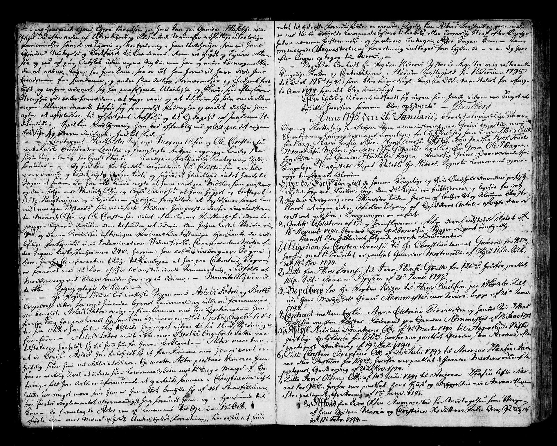 Lier, Røyken og Hurum sorenskriveri, AV/SAKO-A-89/F/Fa/L0060: Tingbok, 1794-1800, s. 9