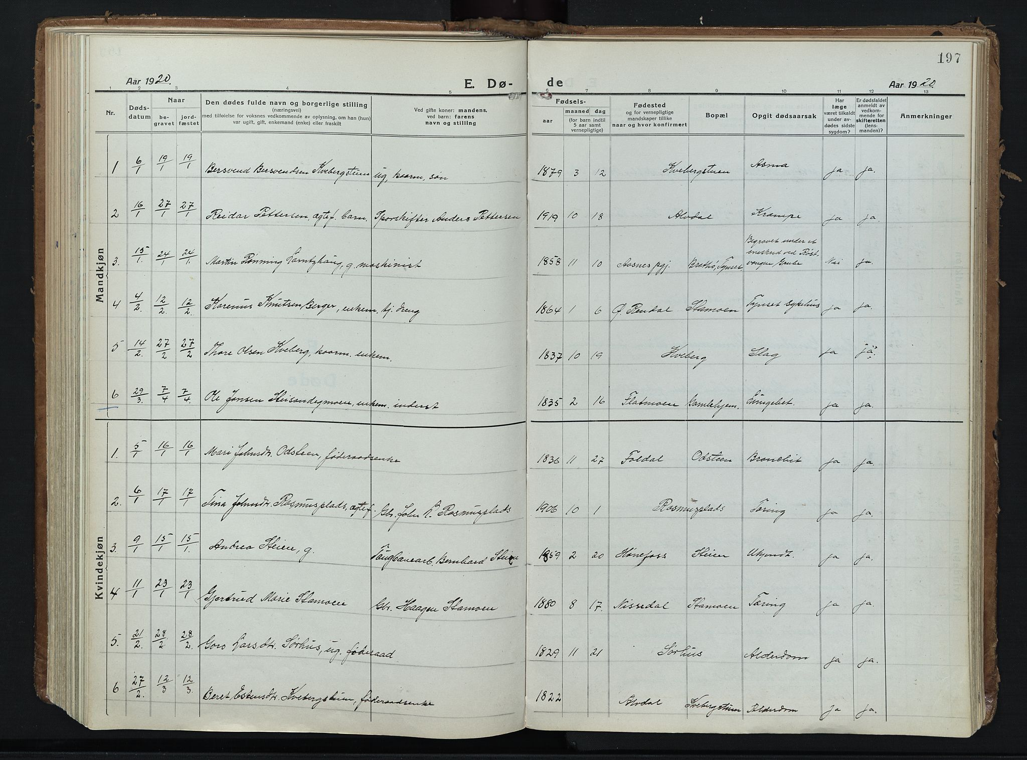 Alvdal prestekontor, AV/SAH-PREST-060/H/Ha/Haa/L0006: Ministerialbok nr. 6, 1920-1937, s. 197