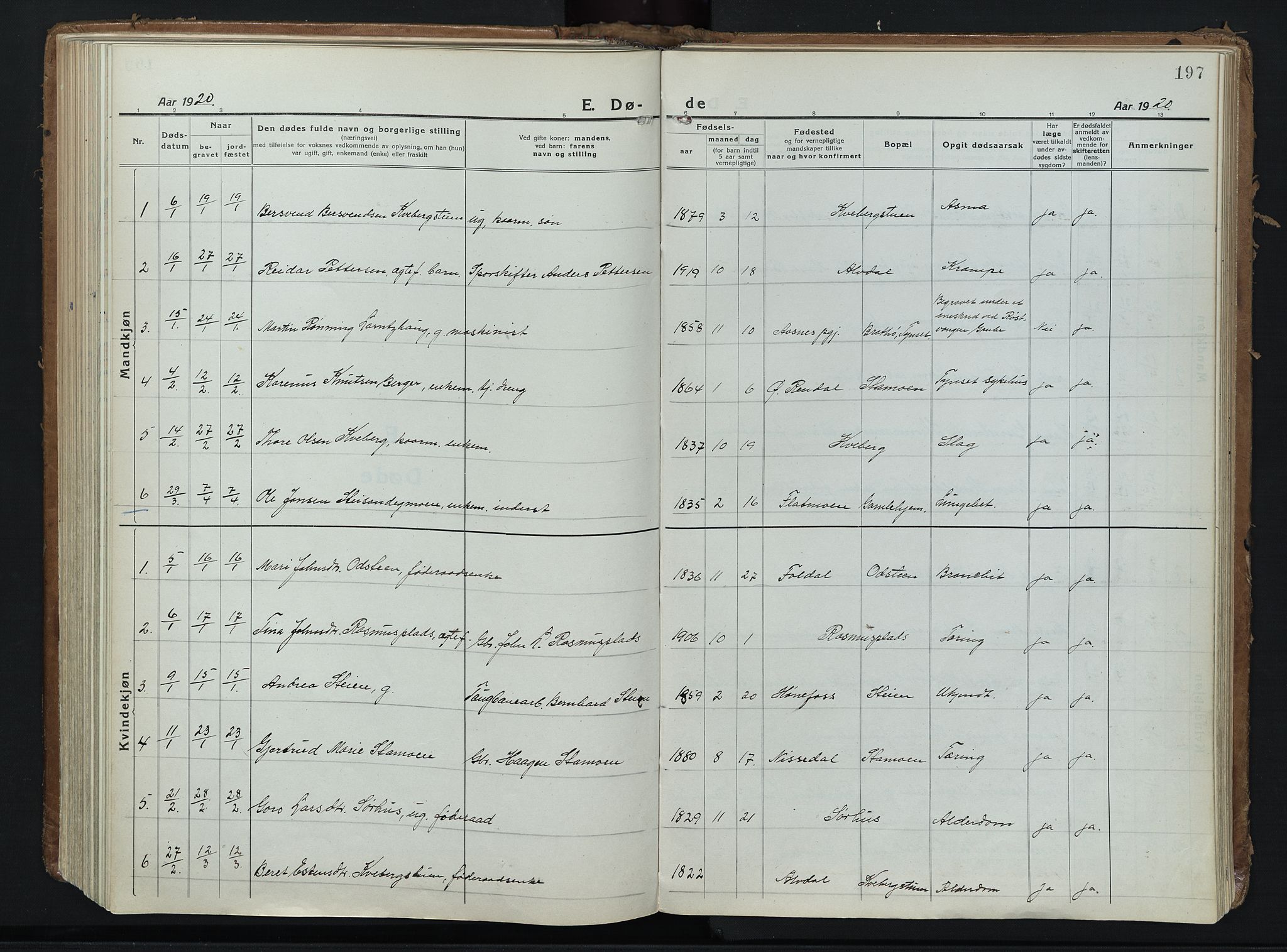 Alvdal prestekontor, SAH/PREST-060/H/Ha/Haa/L0006: Ministerialbok nr. 6, 1920-1937, s. 197