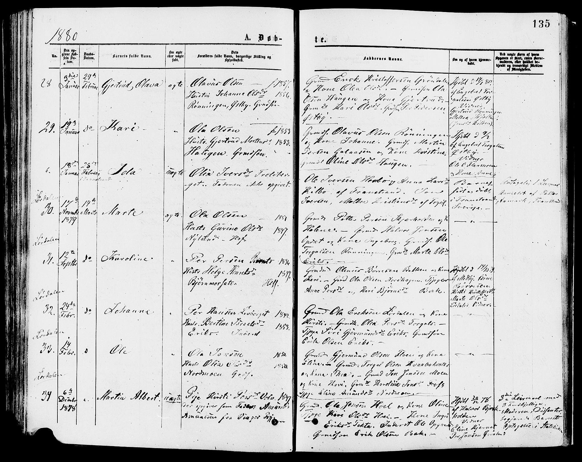 Trysil prestekontor, AV/SAH-PREST-046/H/Ha/Haa/L0007: Ministerialbok nr. 7, 1874-1880, s. 135