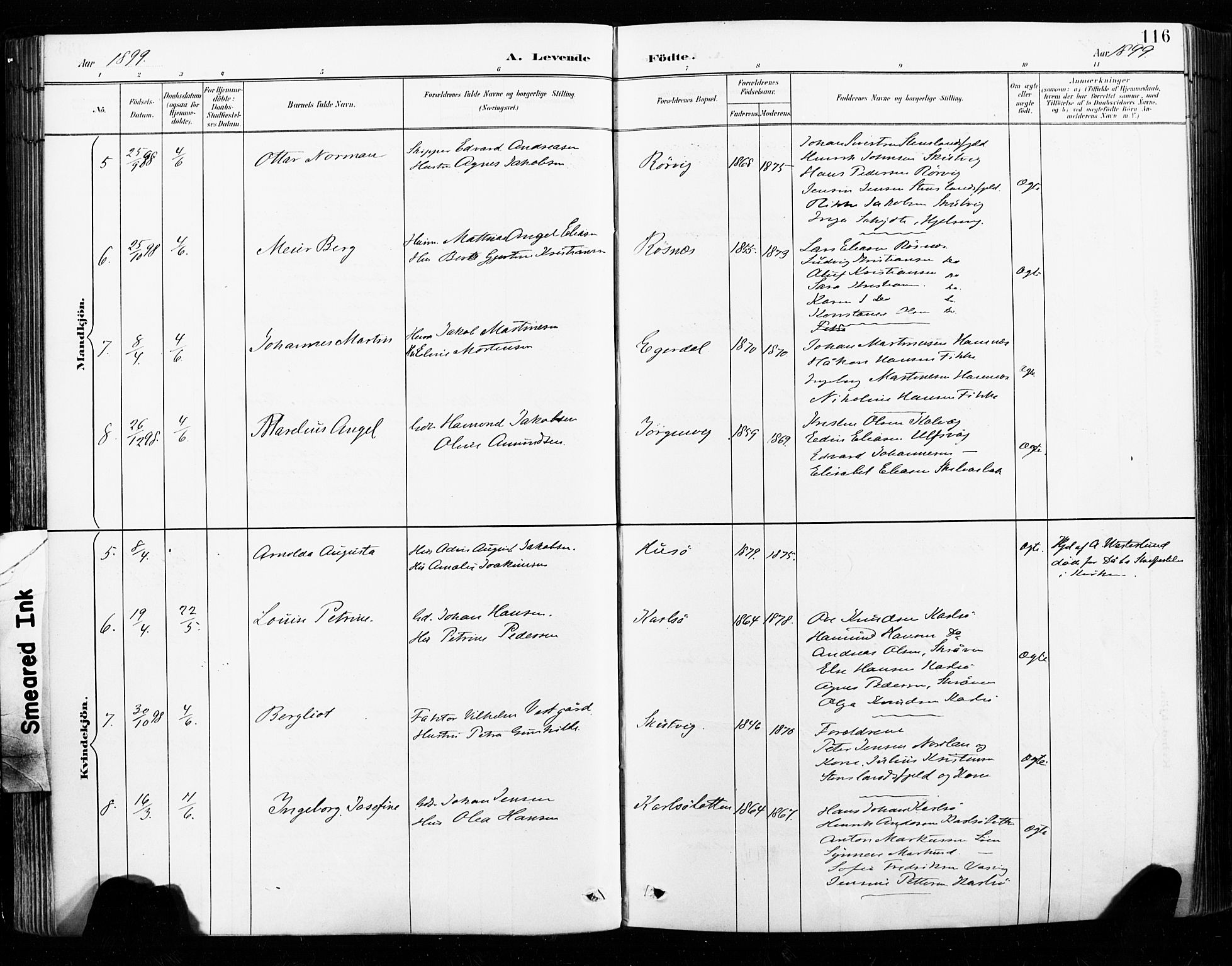 Ministerialprotokoller, klokkerbøker og fødselsregistre - Nordland, SAT/A-1459/859/L0847: Ministerialbok nr. 859A07, 1890-1899, s. 116