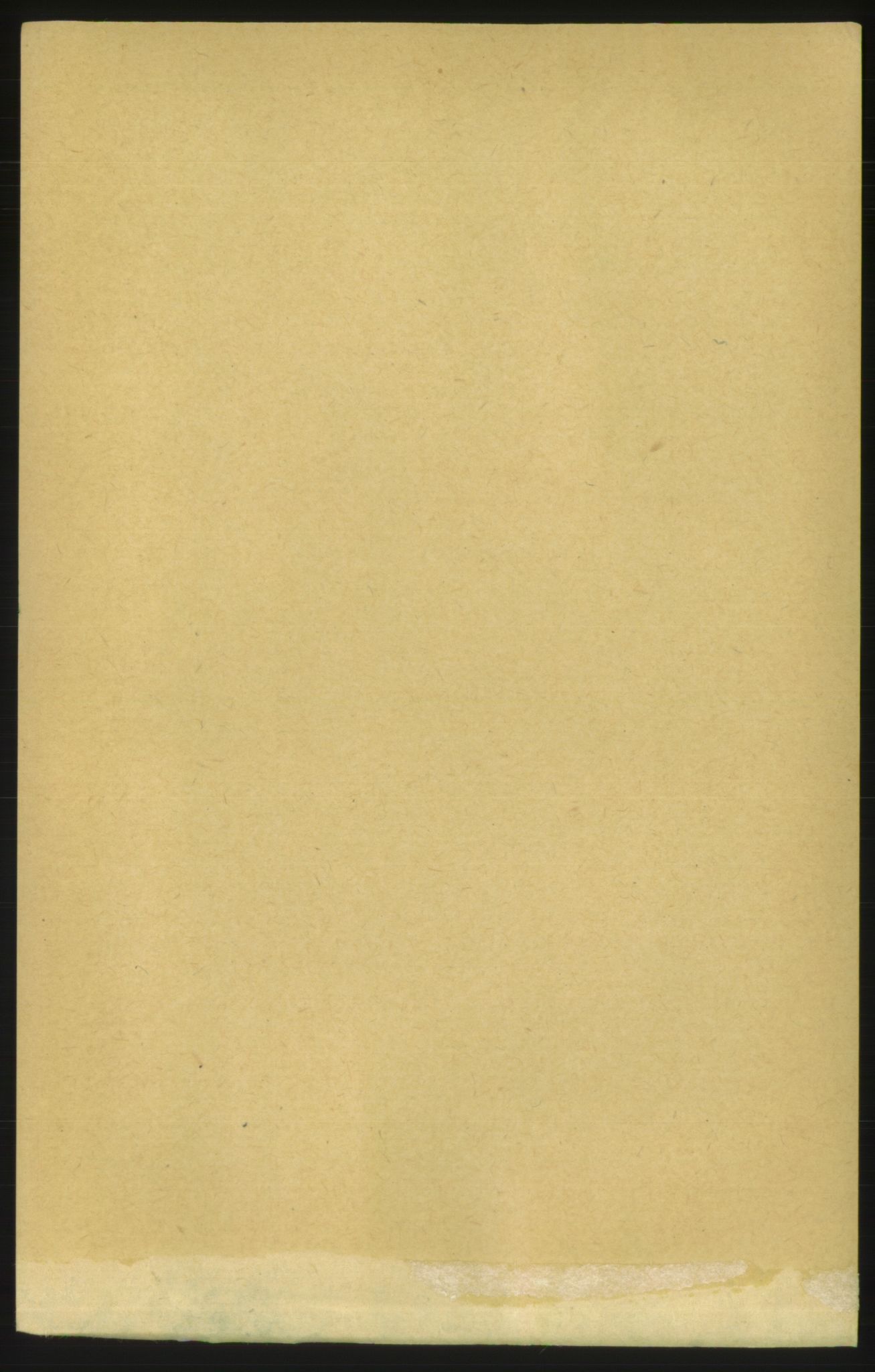 RA, Folketelling 1891 for 1627 Bjugn herred, 1891, s. 65