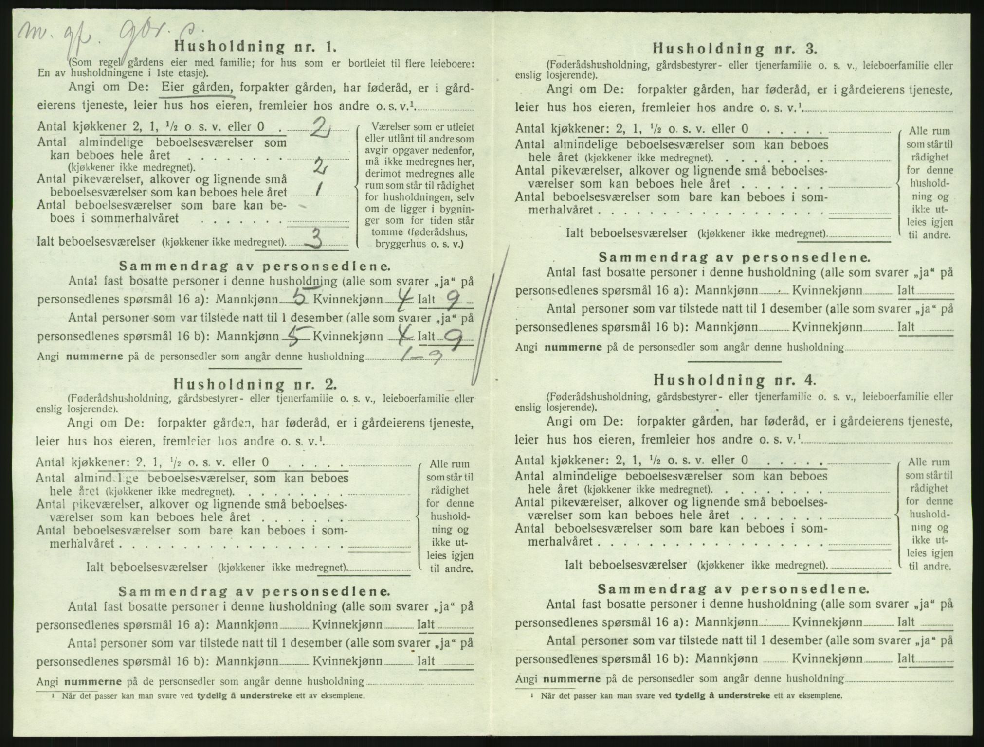 SAKO, Folketelling 1920 for 0727 Hedrum herred, 1920, s. 1438