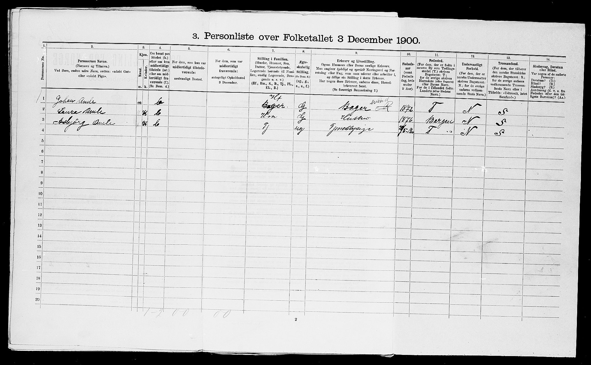 SAST, Folketelling 1900 for 1106 Haugesund kjøpstad, 1900, s. 3896