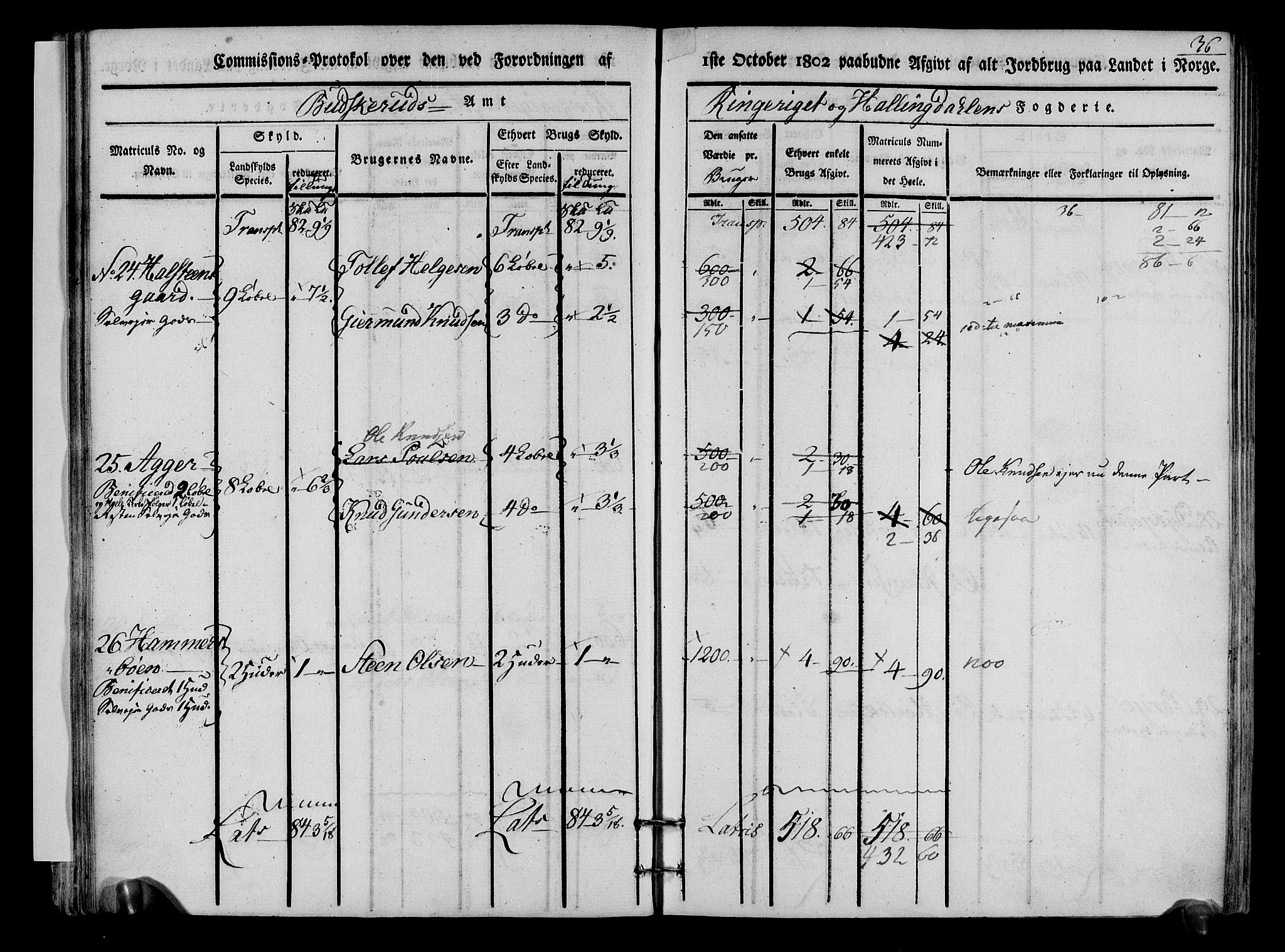 Rentekammeret inntil 1814, Realistisk ordnet avdeling, AV/RA-EA-4070/N/Ne/Nea/L0048: Ringerike og Hallingdal fogderi. Kommisjonsprotokoll for Ål prestegjeld, 1803, s. 39