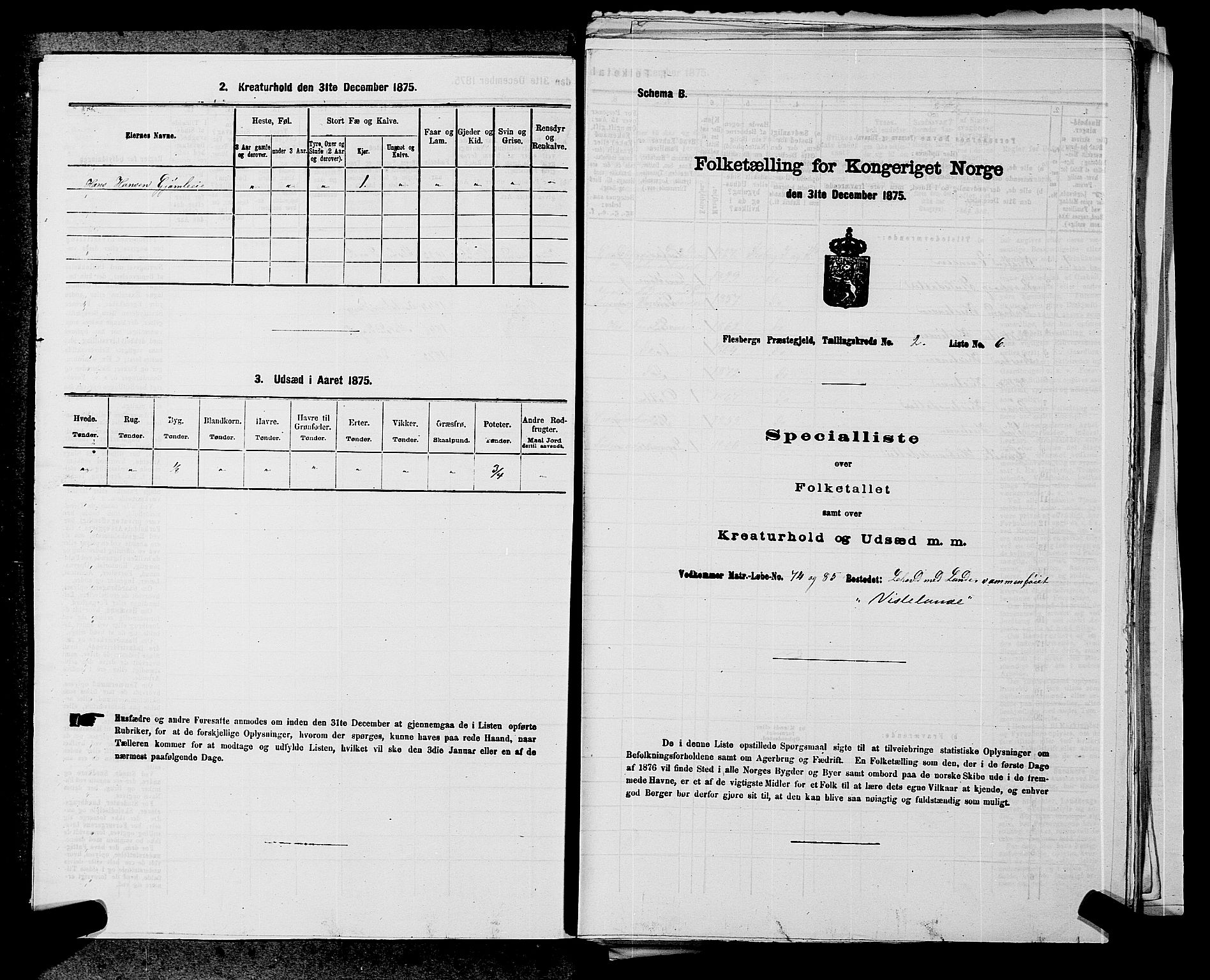 SAKO, Folketelling 1875 for 0631P Flesberg prestegjeld, 1875, s. 289