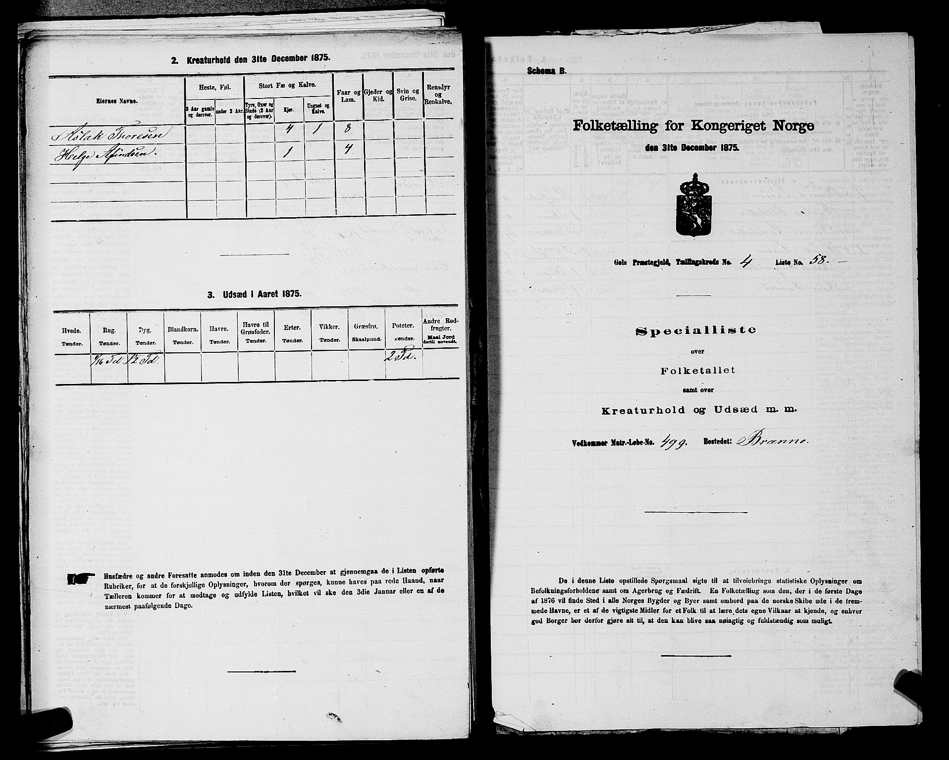 SAKO, Folketelling 1875 for 0617P Gol prestegjeld, 1875, s. 717