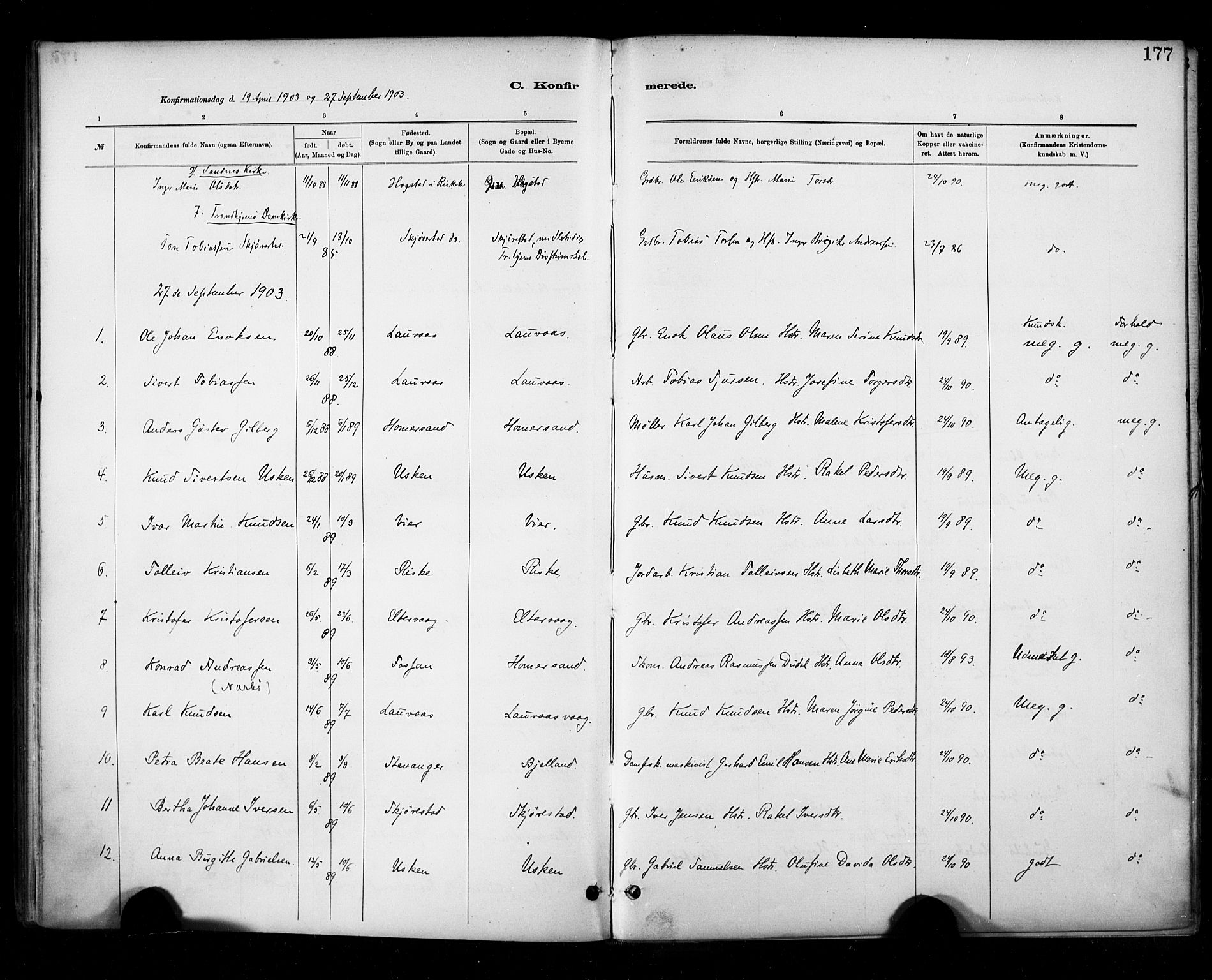 Hetland sokneprestkontor, AV/SAST-A-101826/30/30BA/L0010: Ministerialbok nr. A 10, 1882-1925, s. 177