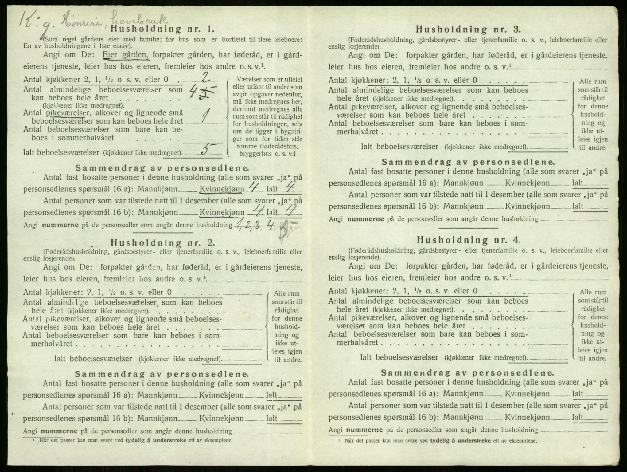 SAKO, Folketelling 1920 for 0612 Hole herred, 1920, s. 219