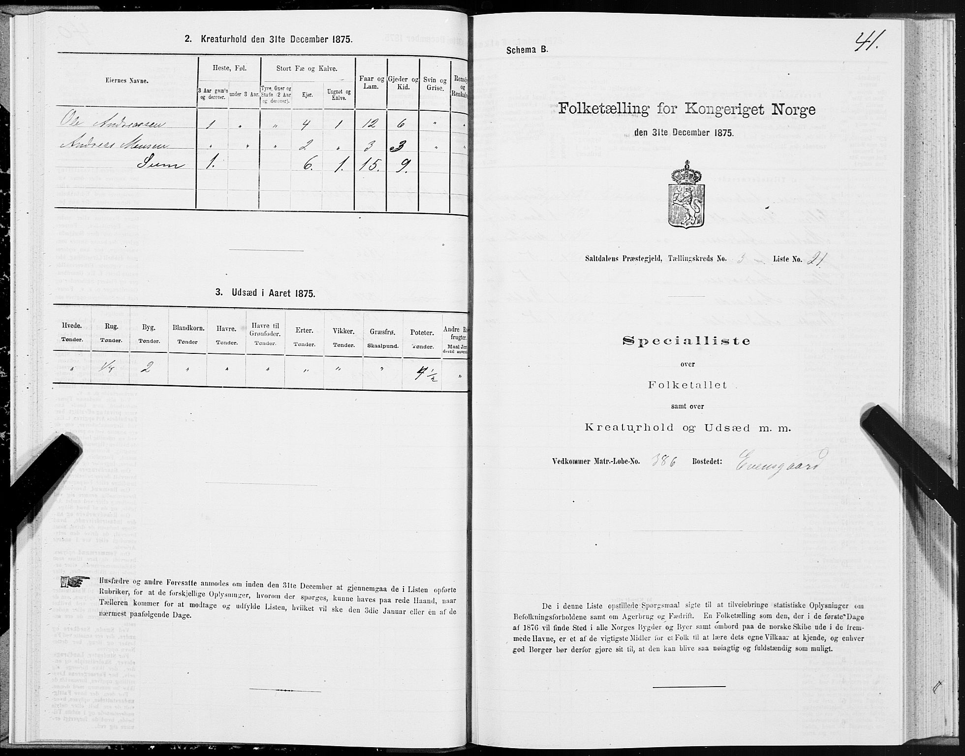 SAT, Folketelling 1875 for 1840P Saltdal prestegjeld, 1875, s. 2041