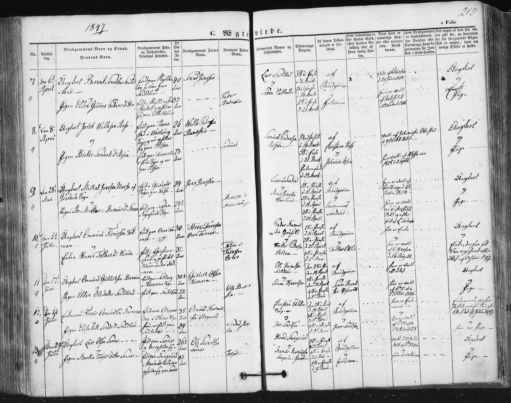 Høyland sokneprestkontor, AV/SAST-A-101799/001/30BA/L0008: Ministerialbok nr. A 8, 1841-1856, s. 215