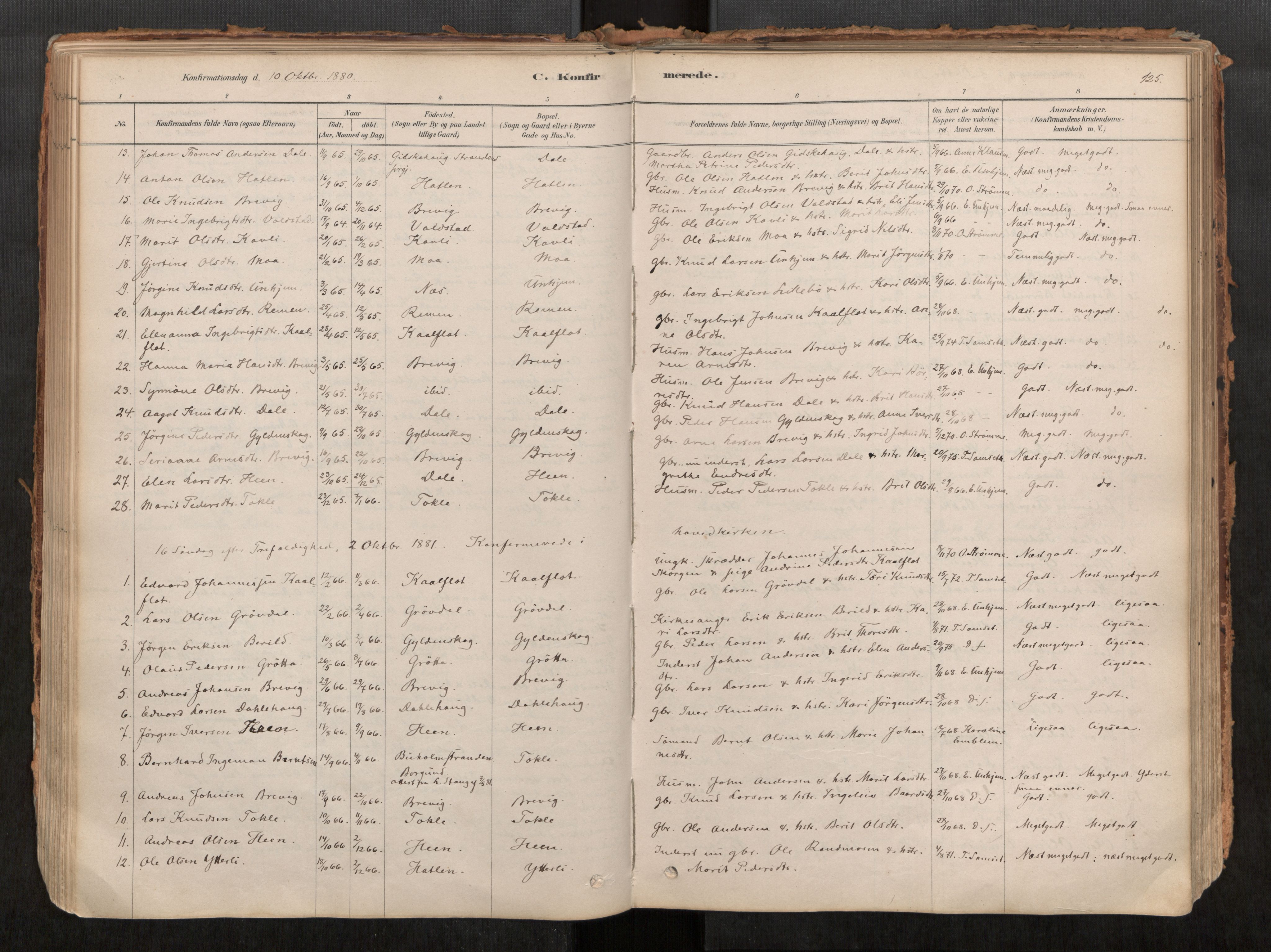 Ministerialprotokoller, klokkerbøker og fødselsregistre - Møre og Romsdal, AV/SAT-A-1454/545/L0594: Ministerialbok nr. 545A03, 1878-1920, s. 125