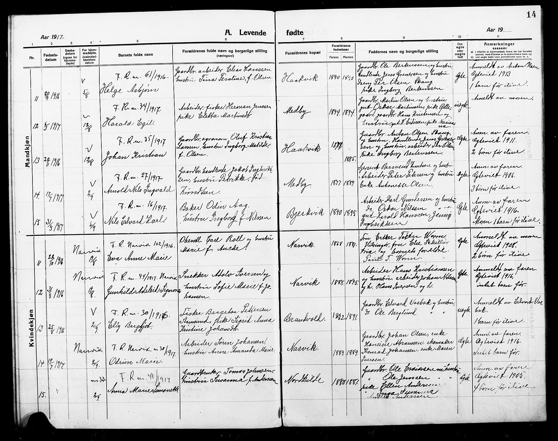 Ministerialprotokoller, klokkerbøker og fødselsregistre - Nordland, AV/SAT-A-1459/868/L0969: Klokkerbok nr. 868C01, 1914-1925, s. 14