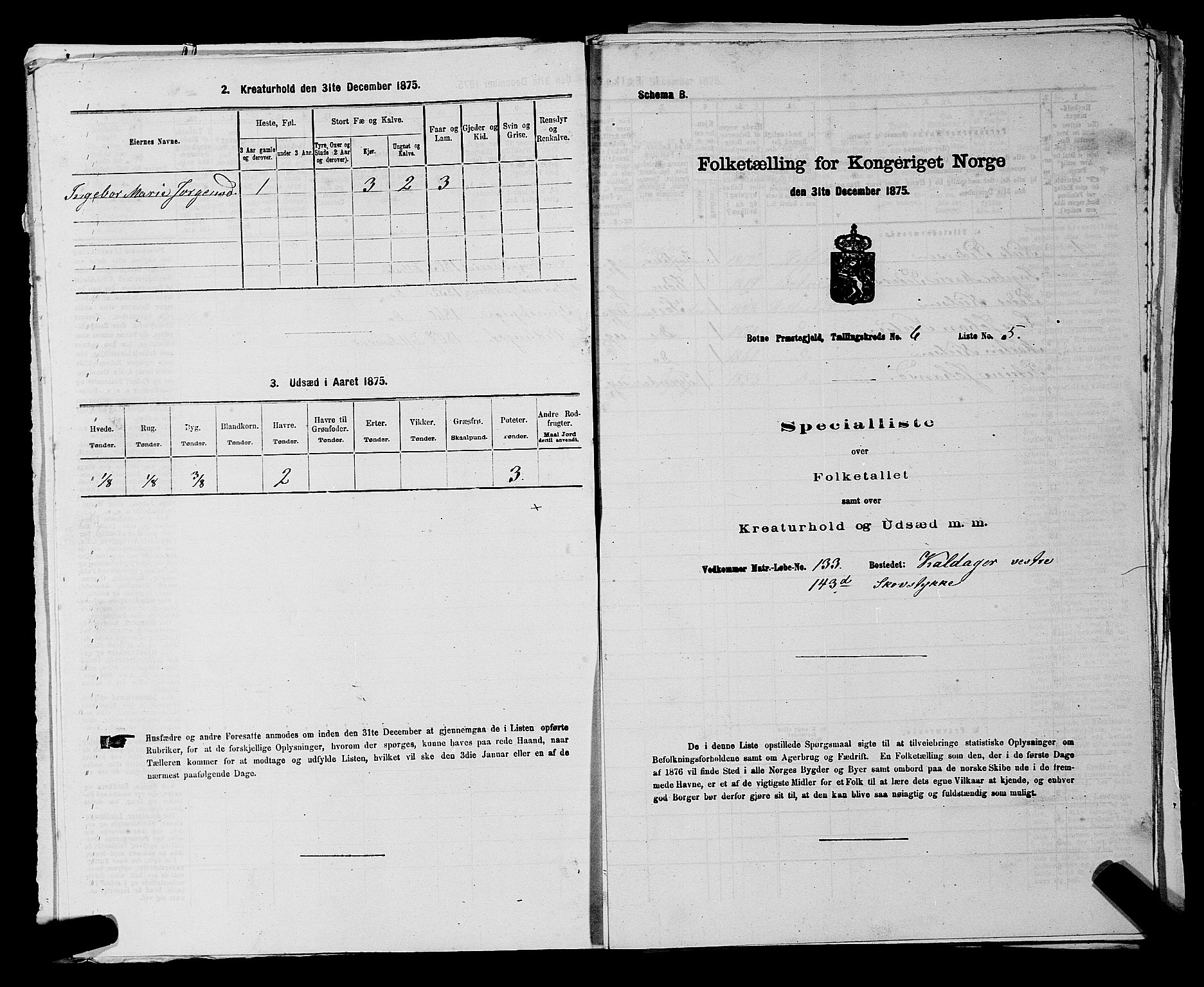 SAKO, Folketelling 1875 for 0715P Botne prestegjeld, 1875, s. 481