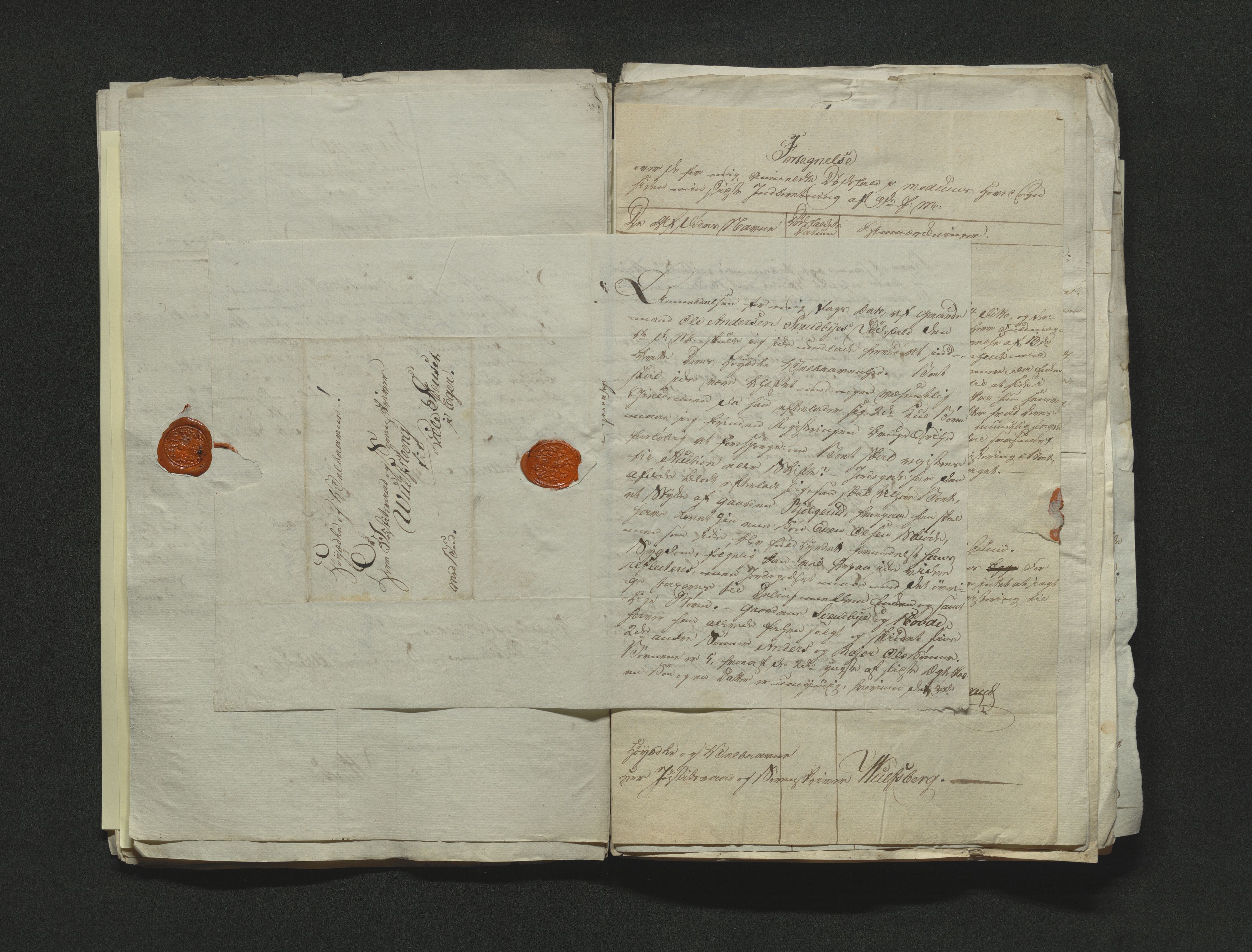 Eiker, Modum og Sigdal sorenskriveri, AV/SAKO-A-123/H/Ha/Hab/L0001: Dødsfallsmeldinger, 1812-1822, s. 63