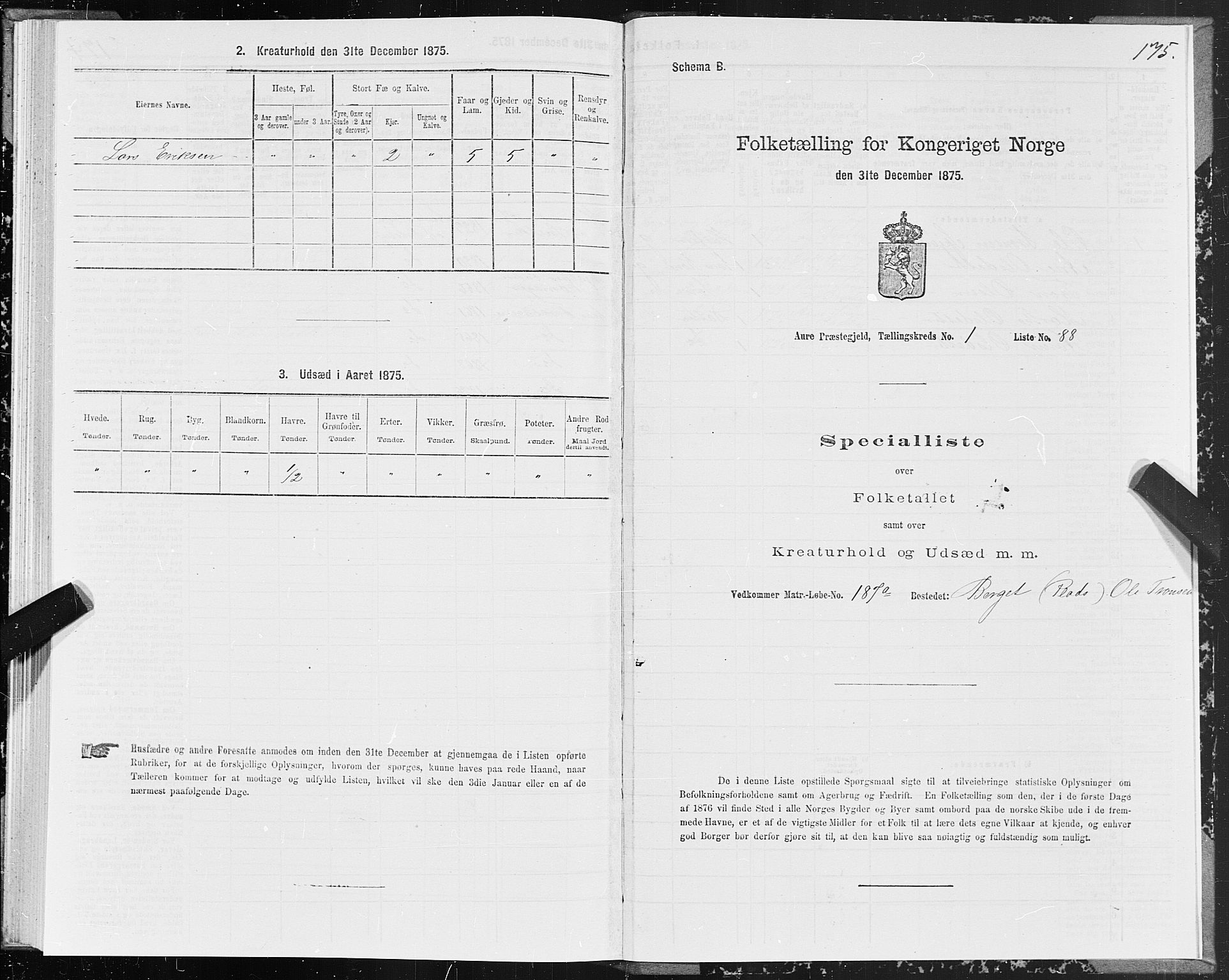 SAT, Folketelling 1875 for 1569P Aure prestegjeld, 1875, s. 1175