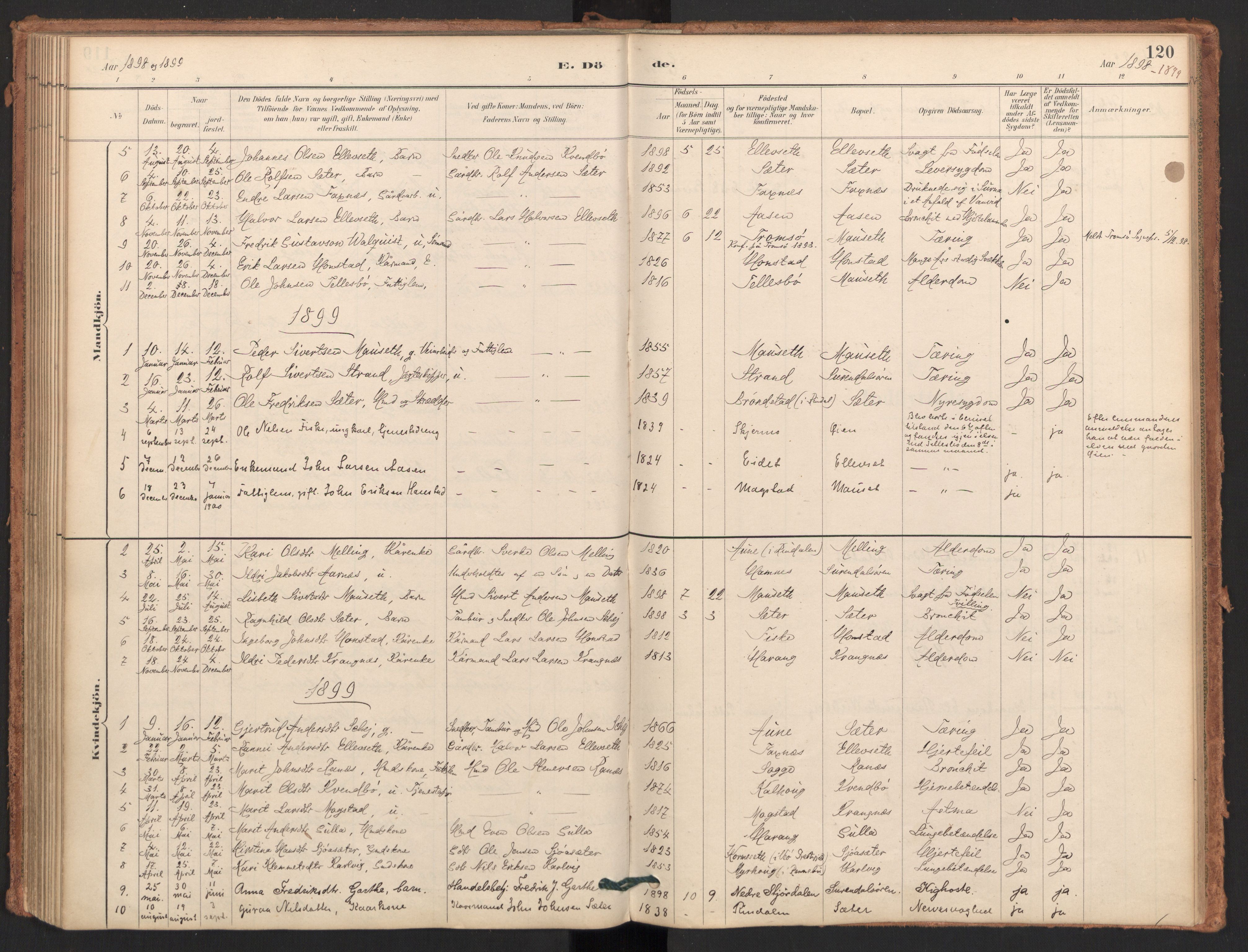 Ministerialprotokoller, klokkerbøker og fødselsregistre - Møre og Romsdal, AV/SAT-A-1454/596/L1056: Ministerialbok nr. 596A01, 1885-1900, s. 120