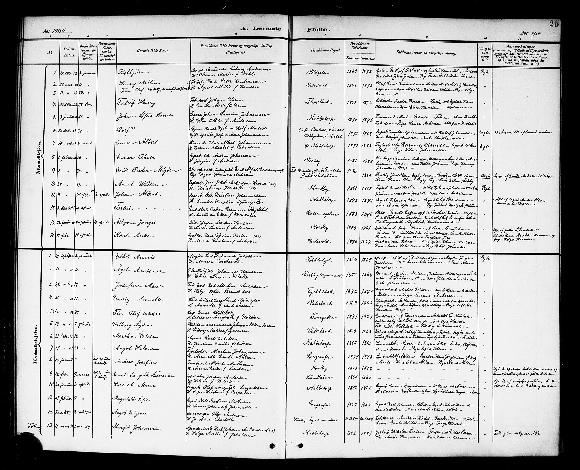 Østre Fredrikstad prestekontor Kirkebøker, AV/SAO-A-10907/G/Ga/L0002: Klokkerbok nr. 2, 1900-1919, s. 25