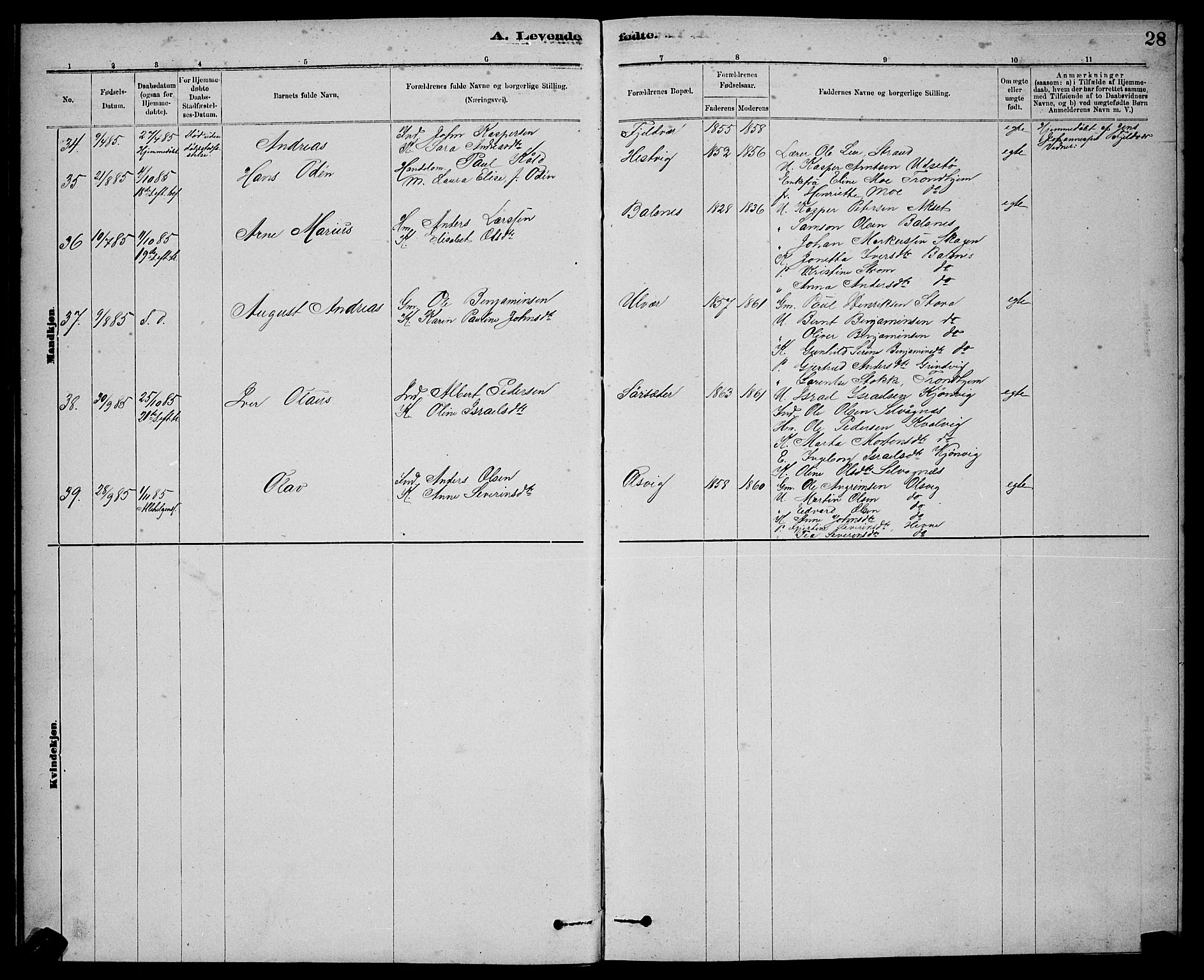 Ministerialprotokoller, klokkerbøker og fødselsregistre - Sør-Trøndelag, SAT/A-1456/637/L0562: Klokkerbok nr. 637C03, 1883-1898, s. 28