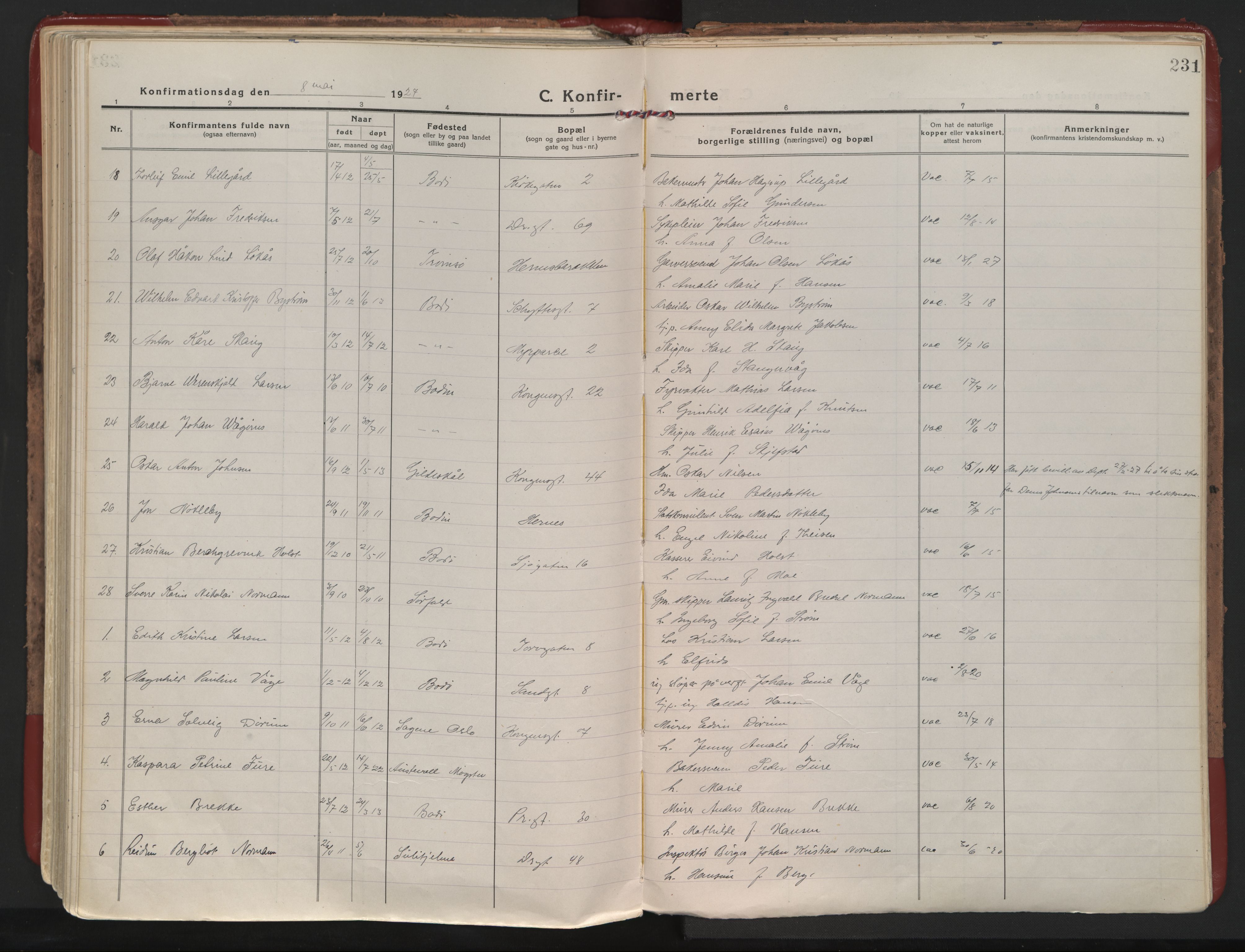 Ministerialprotokoller, klokkerbøker og fødselsregistre - Nordland, AV/SAT-A-1459/801/L0017: Ministerialbok nr. 801A17, 1917-1930, s. 231