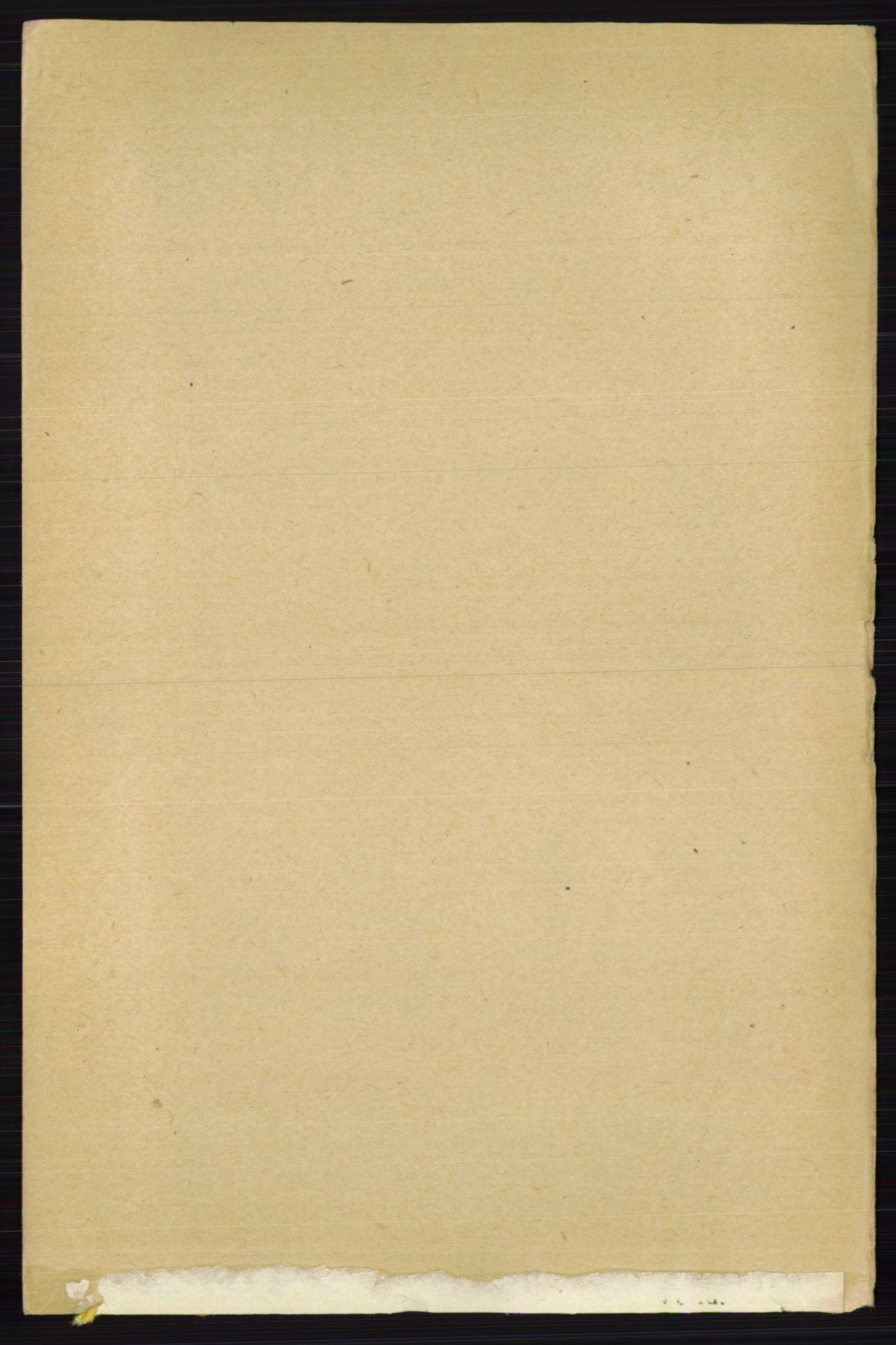 RA, Folketelling 1891 for 0236 Nes herred, 1891, s. 2789