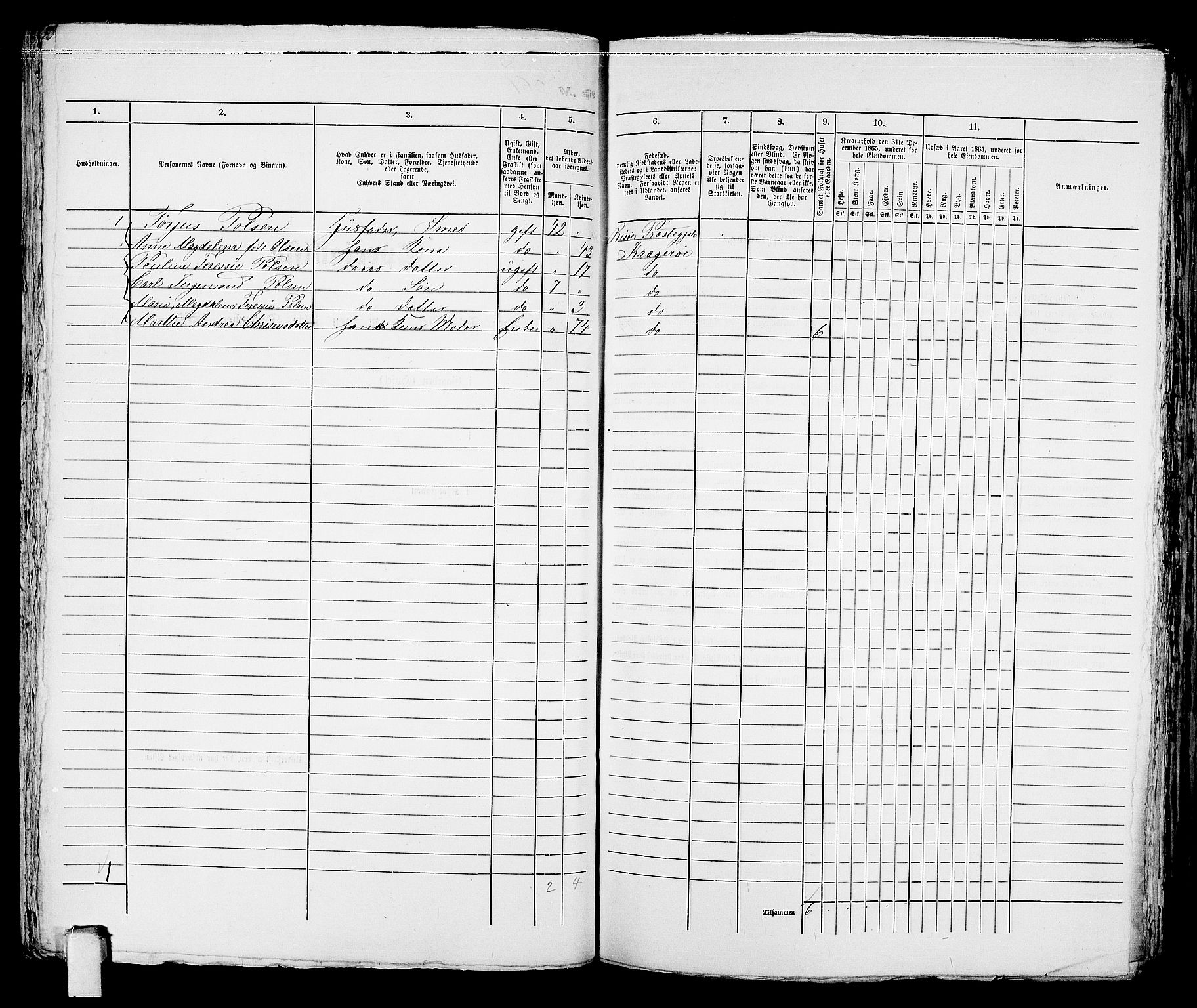 RA, Folketelling 1865 for 0801B Kragerø prestegjeld, Kragerø kjøpstad, 1865, s. 738