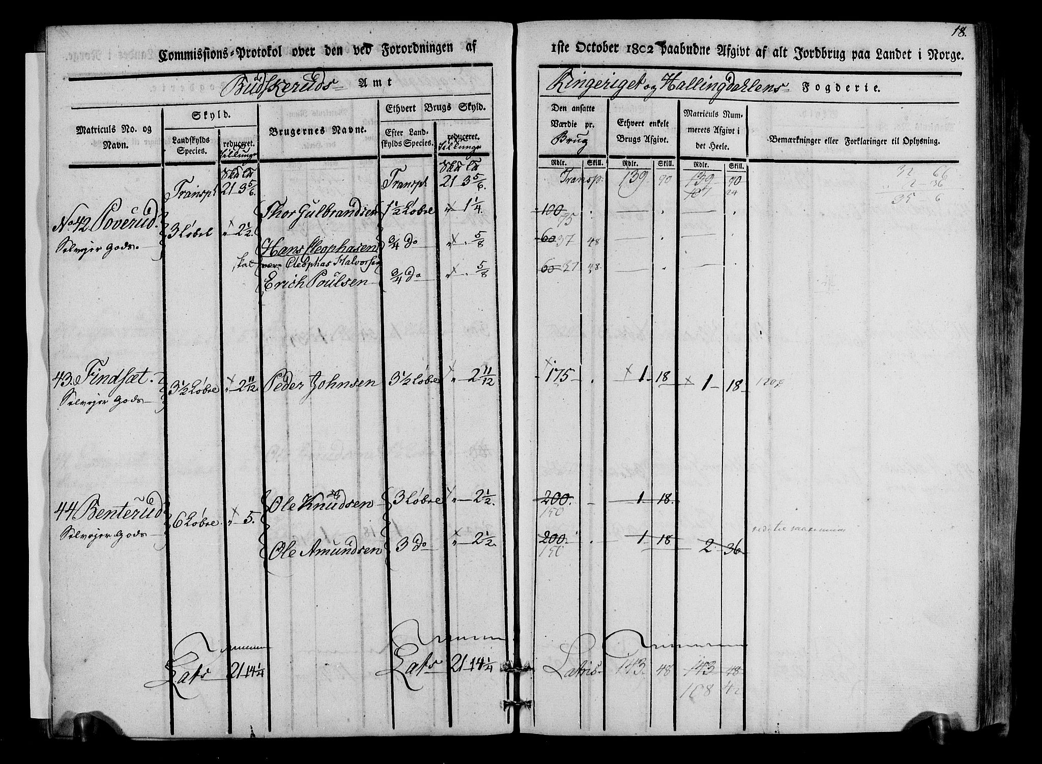 Rentekammeret inntil 1814, Realistisk ordnet avdeling, AV/RA-EA-4070/N/Ne/Nea/L0047: Ringerike og Hallingdal fogderi. Kommisjonsprotokoll for Nes prestegjeld, 1803, s. 19