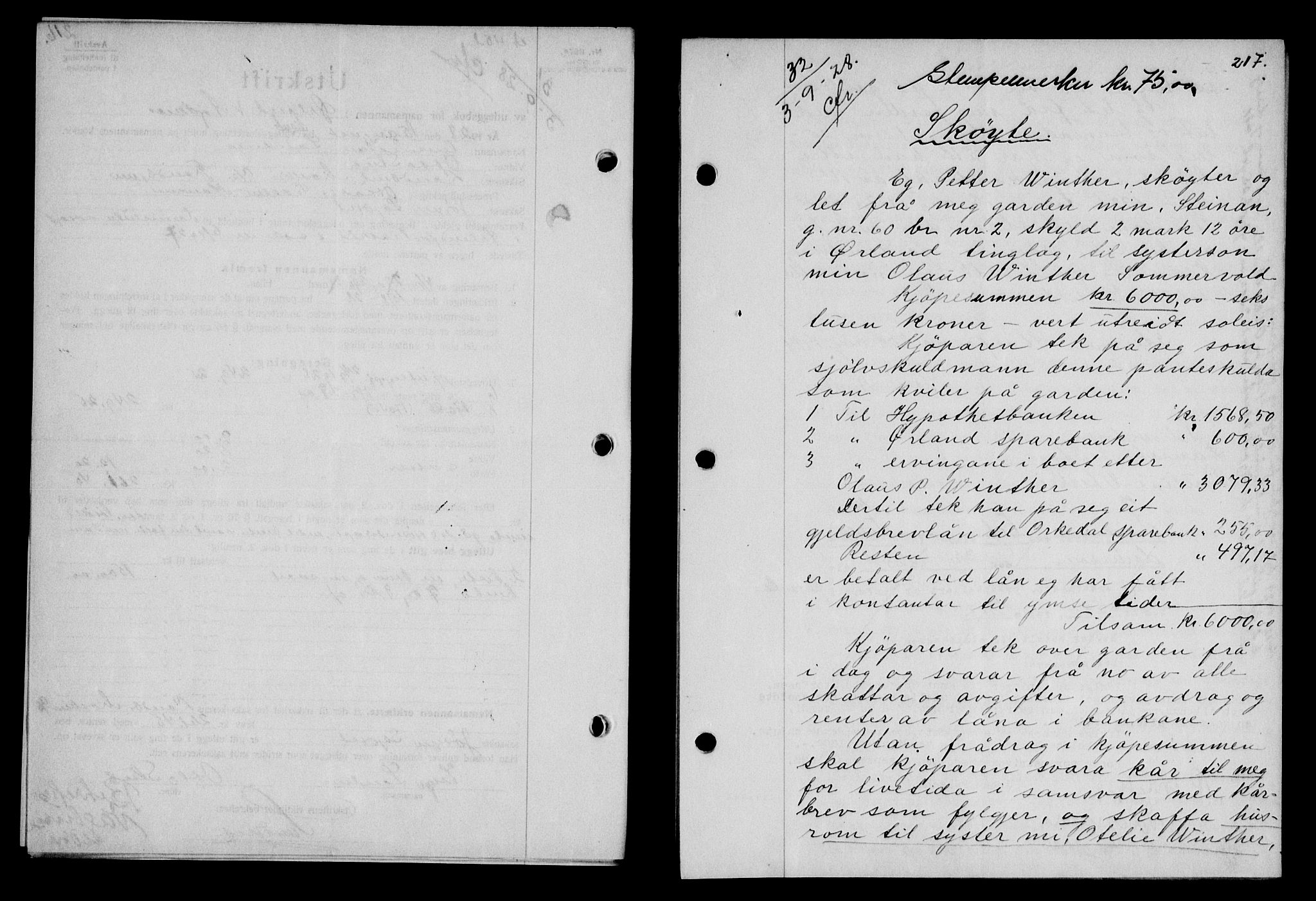 Fosen sorenskriveri, AV/SAT-A-1107/1/2/2C/L0067: Pantebok nr. 58, 1928-1929, s. 217, Tingl.dato: 03.09.1928