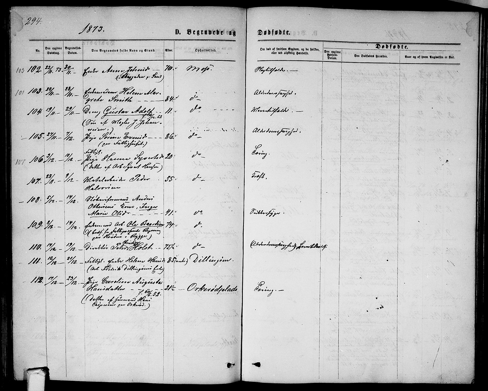 Moss prestekontor Kirkebøker, AV/SAO-A-2003/G/Ga/L0004: Klokkerbok nr.  I 4, 1869-1877, s. 294