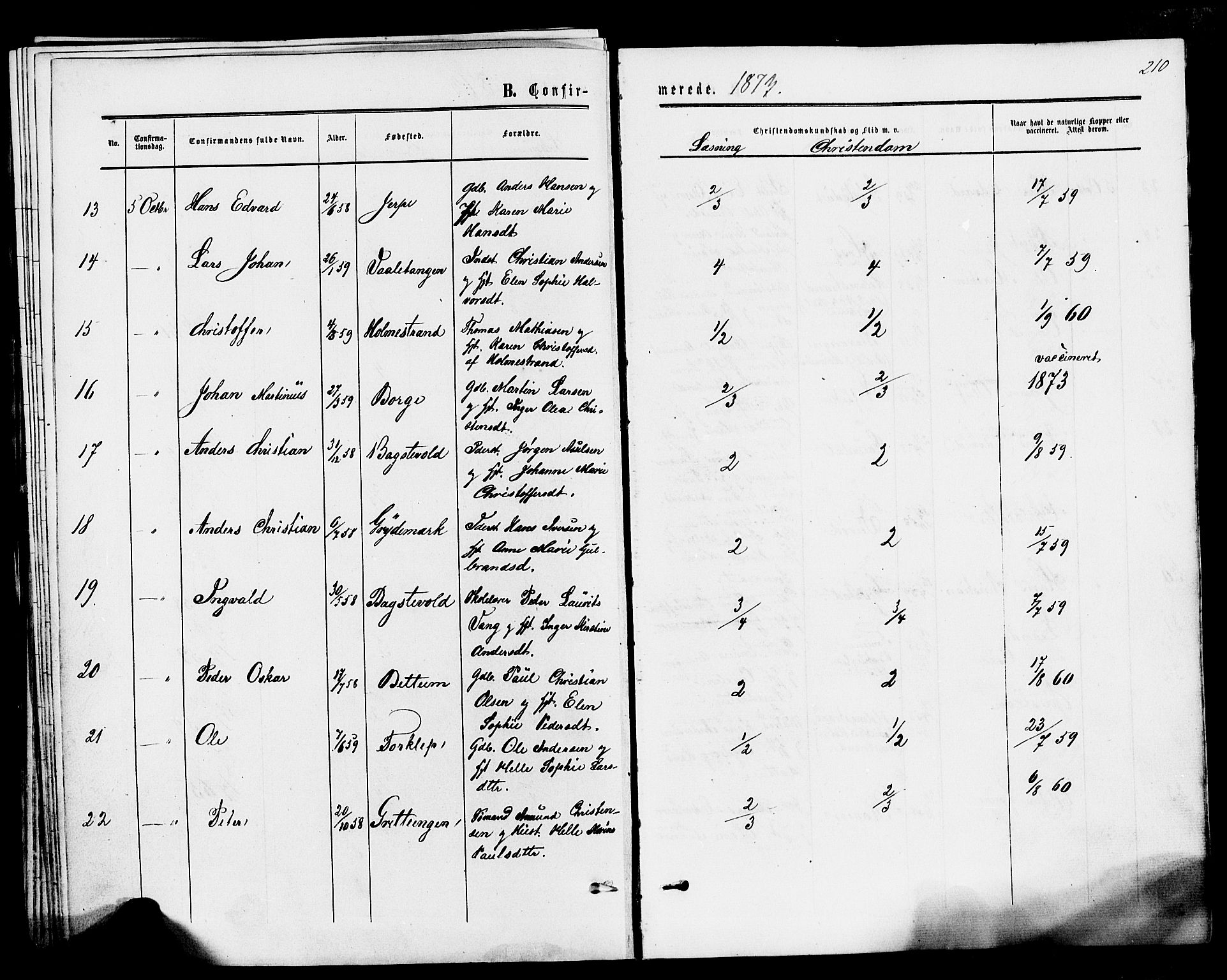 Våle kirkebøker, AV/SAKO-A-334/F/Fa/L0010: Ministerialbok nr. I 10, 1861-1877, s. 210