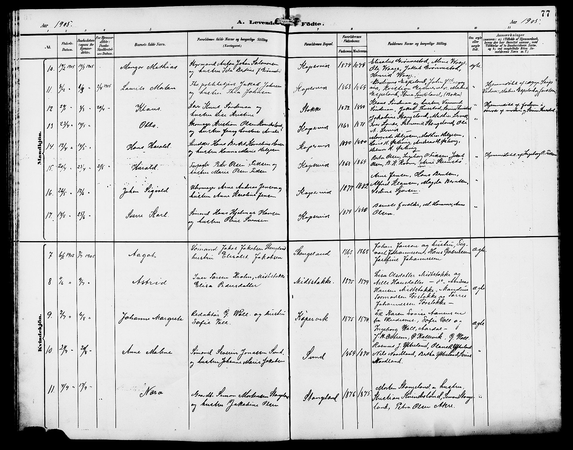 Kopervik sokneprestkontor, AV/SAST-A-101850/H/Ha/Hab/L0003: Klokkerbok nr. B 3, 1891-1909, s. 77