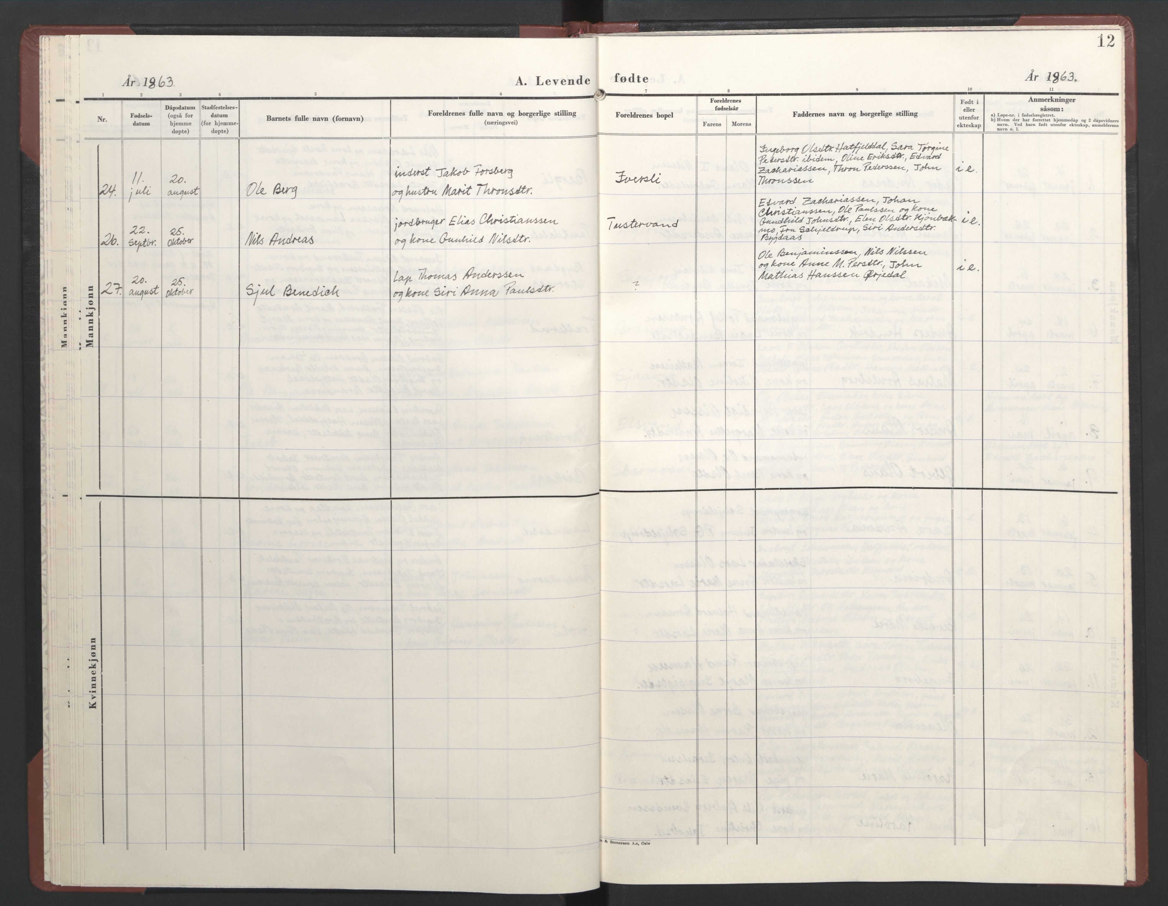 Ministerialprotokoller, klokkerbøker og fødselsregistre - Nordland, SAT/A-1459/823/L0335: Ministerialbok nr. 823D01, 1860-1864, s. 12