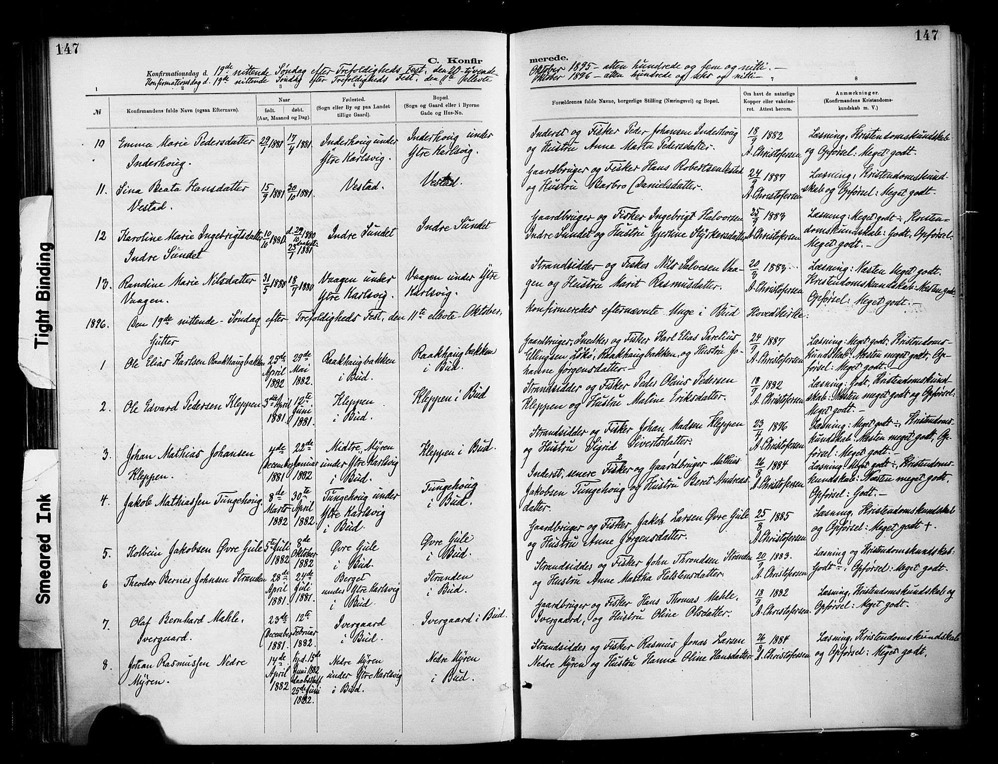 Ministerialprotokoller, klokkerbøker og fødselsregistre - Møre og Romsdal, AV/SAT-A-1454/566/L0769: Ministerialbok nr. 566A08, 1881-1903, s. 147
