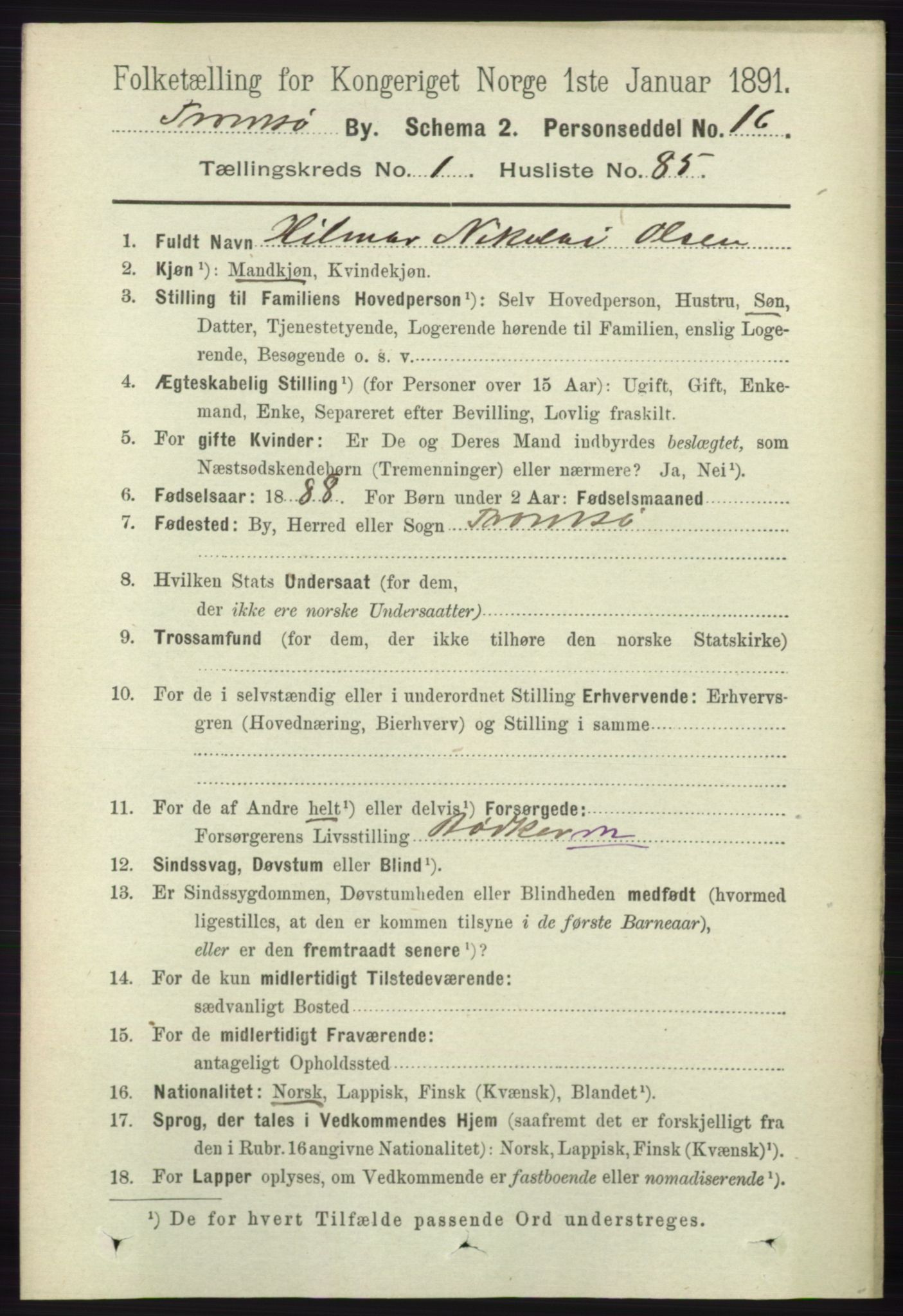RA, Folketelling 1891 for 1902 Tromsø kjøpstad, 1891, s. 1162