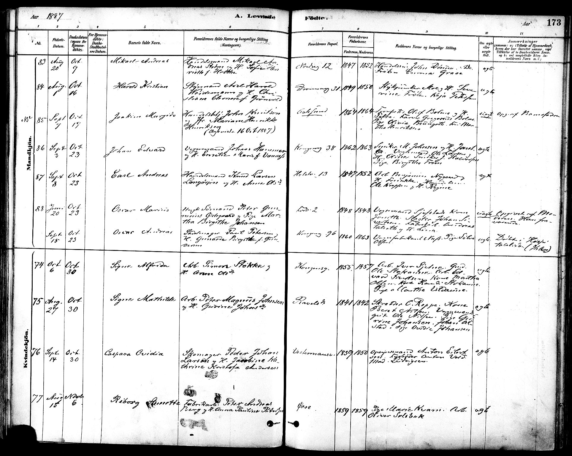 Ministerialprotokoller, klokkerbøker og fødselsregistre - Sør-Trøndelag, SAT/A-1456/601/L0057: Ministerialbok nr. 601A25, 1877-1891, s. 173