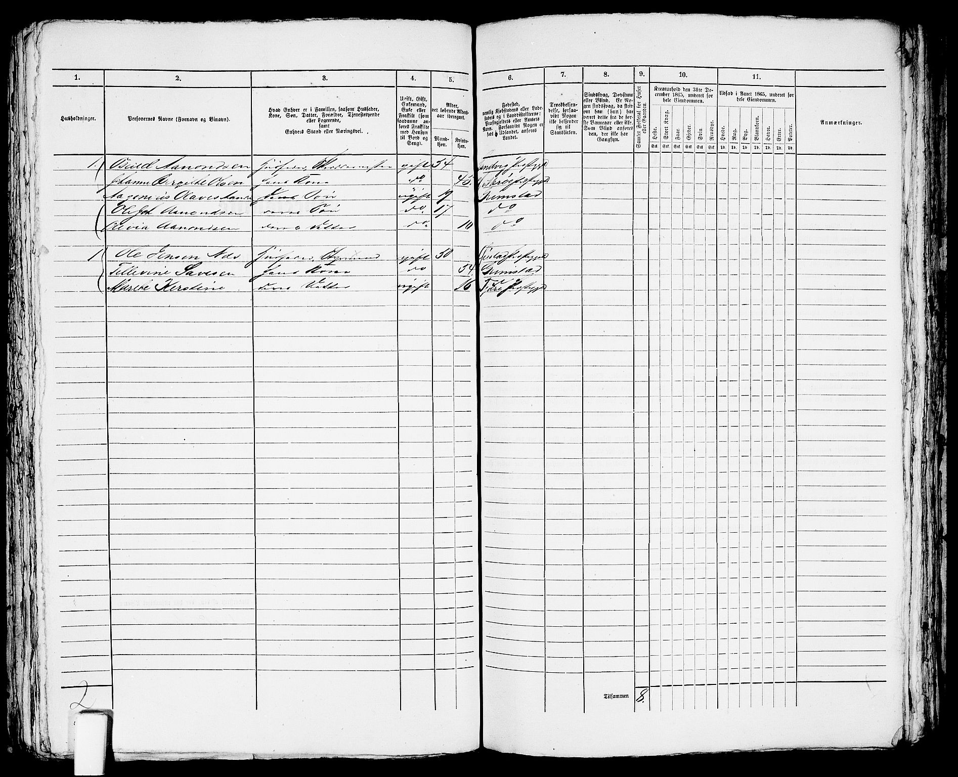 RA, Folketelling 1865 for 0904B Fjære prestegjeld, Grimstad kjøpstad, 1865, s. 236