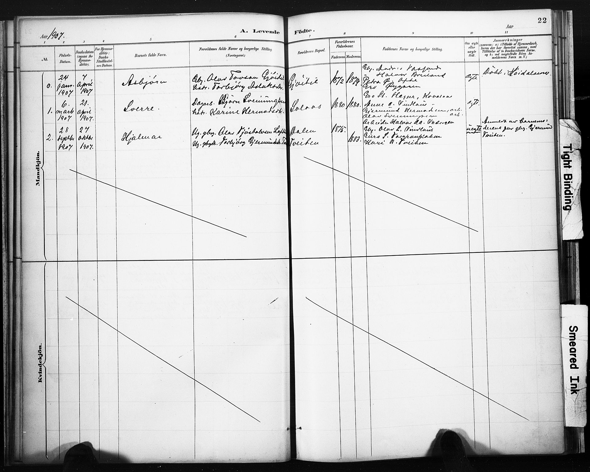 Lårdal kirkebøker, AV/SAKO-A-284/F/Fb/L0002: Ministerialbok nr. II 2, 1887-1918, s. 22
