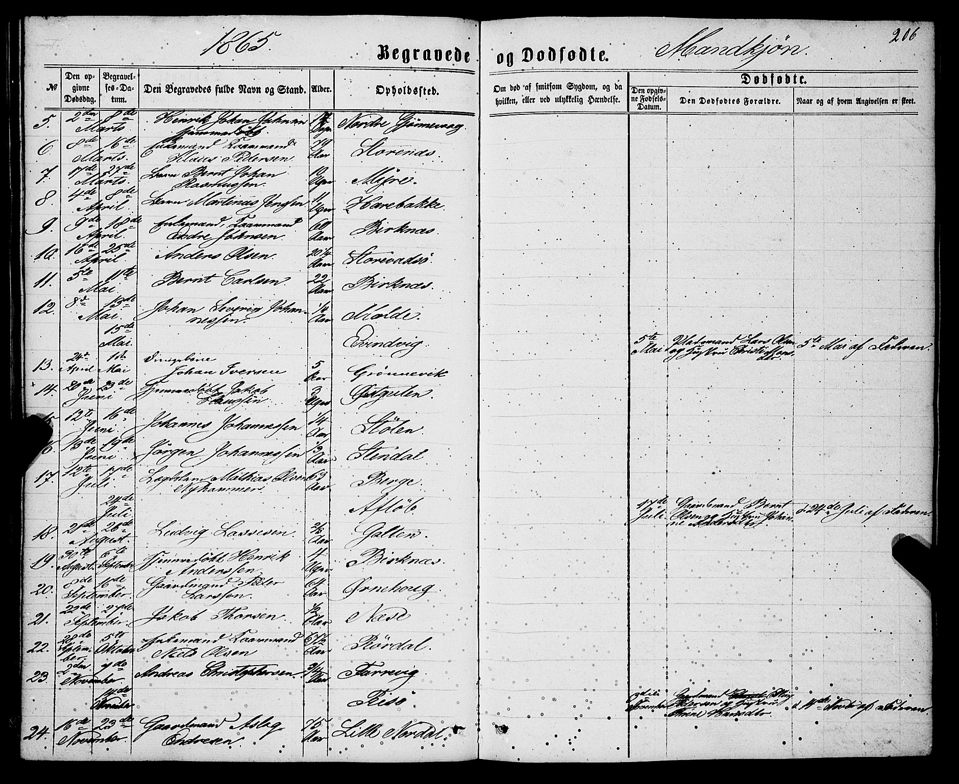 Gulen sokneprestembete, AV/SAB-A-80201/H/Haa/Haaa/L0022: Ministerialbok nr. A 22, 1859-1869, s. 206